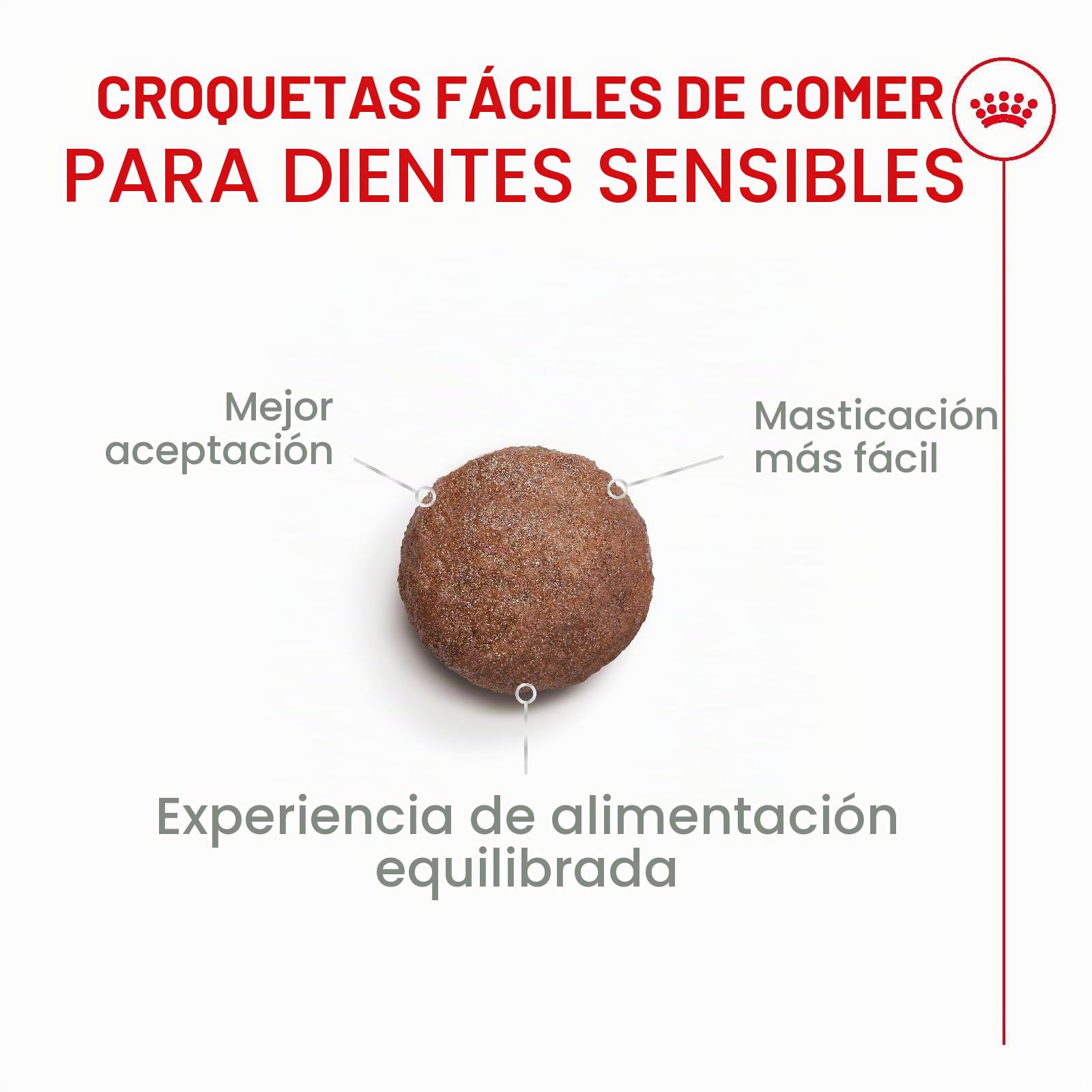 ROYAL CANIN AGEING 15+ | 4 kg | Alimento seco para Gatos Mayores de 15 años | Fórmula con el HealthyAge7™ Complex | Contiene croquetas fáciles de Masticar