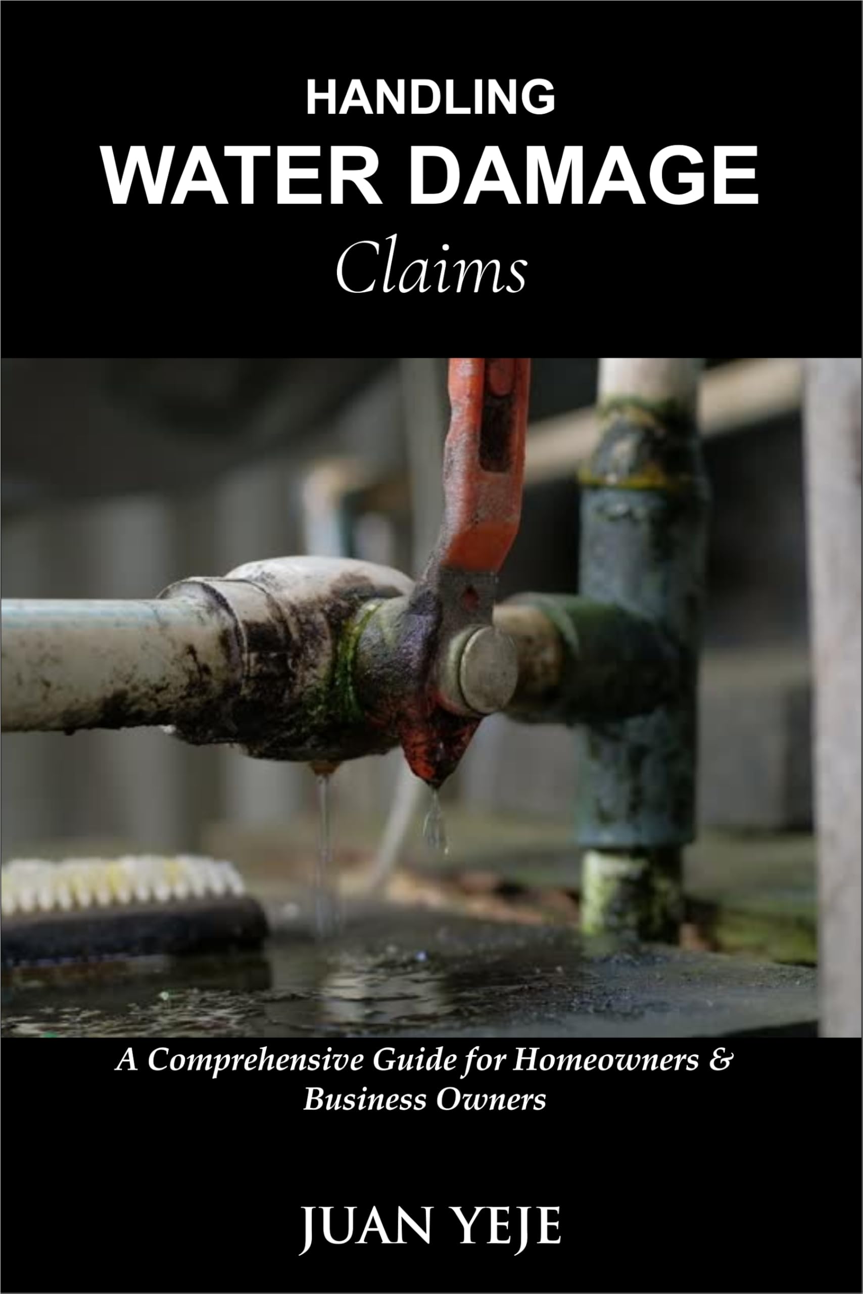 Handling Water Damage Claims: A Comprehensive Guide for Homeowners & Business Owners