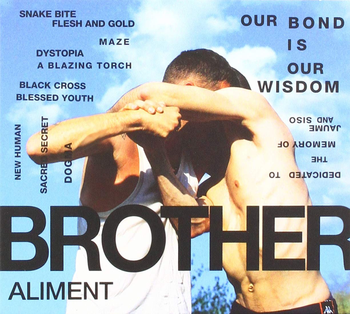 Vinyl Castle Brother