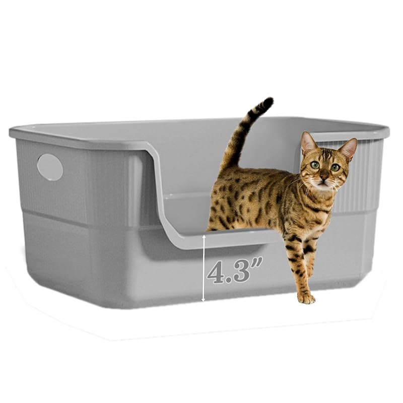 Caixa de areia para gatos com entrada baixa, laterais altas e plástico, Tehoao, Grey-1 Pack, 50 x 34,8 x 21,8 cm