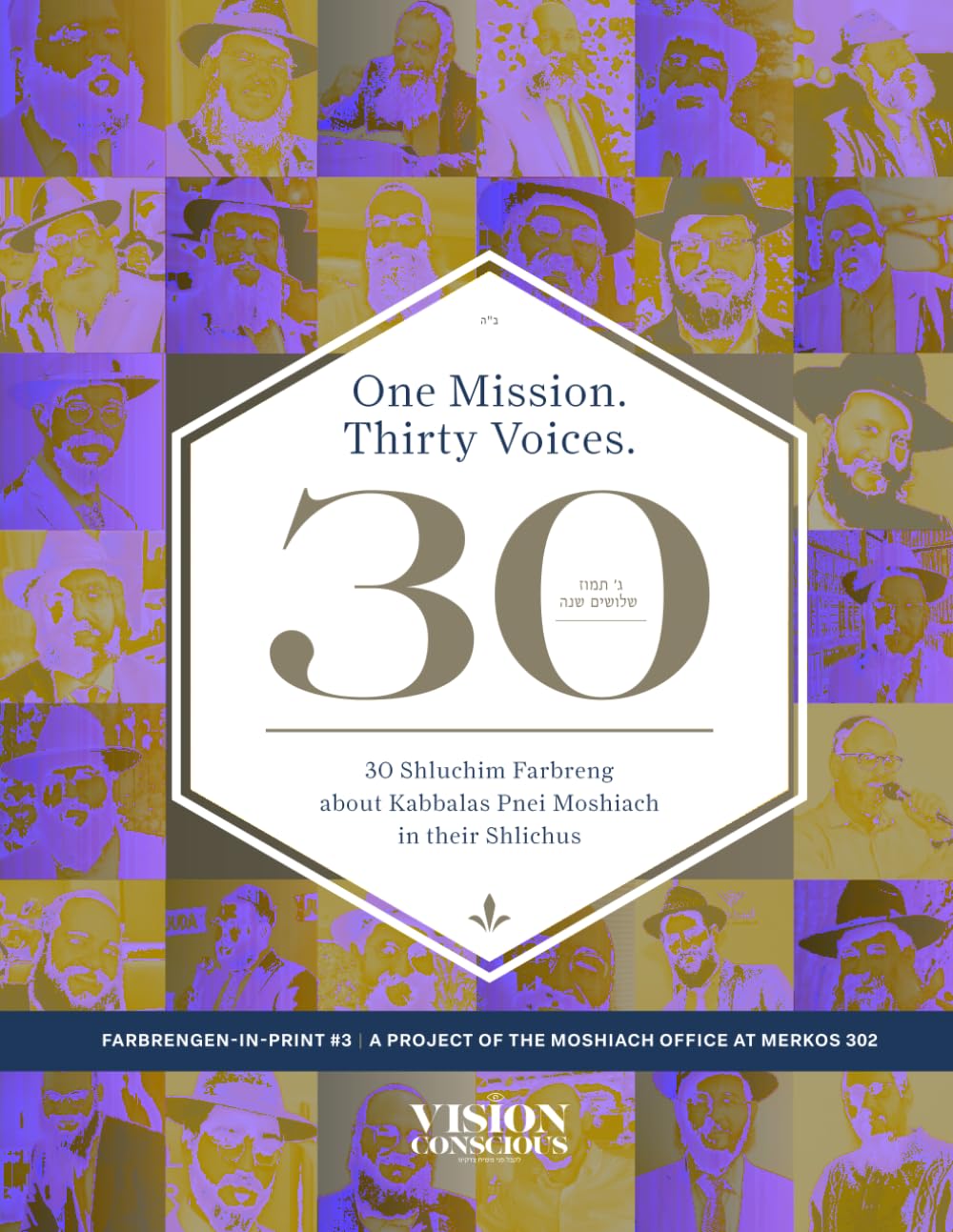 One Mission. Thirty Voices. 30 Shluchim Farbreng about Kabbalas Pnei Moshiach in their Shlichus: Vision Conscious: Farbrengen-in-Print #3
