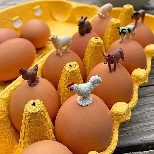 Miniatura 3 de Safari Ltd. Farm Fun Pack - Mini figuras de animales de granja - Juego de juguetes educativos para niños, niñas y niños a partir de 5 años