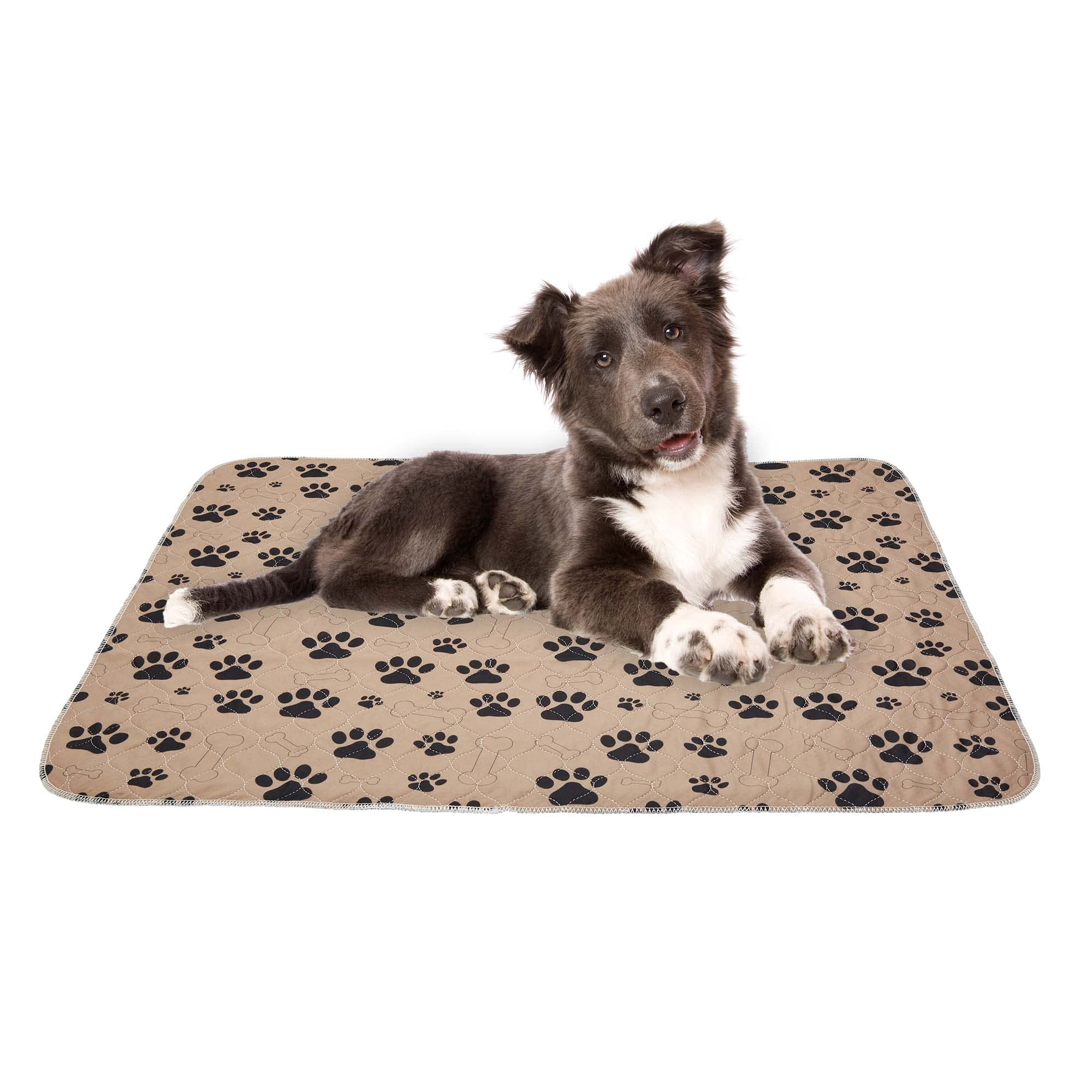 Drylife Tan Washable Xl Puppy Pads | Super Absorbent 80X90cm Puppy Pad | Anti-Slip, Quick Absorption, Locks In Pee, Odour Control For Dog And Puppy Training (, 1 Pack)
