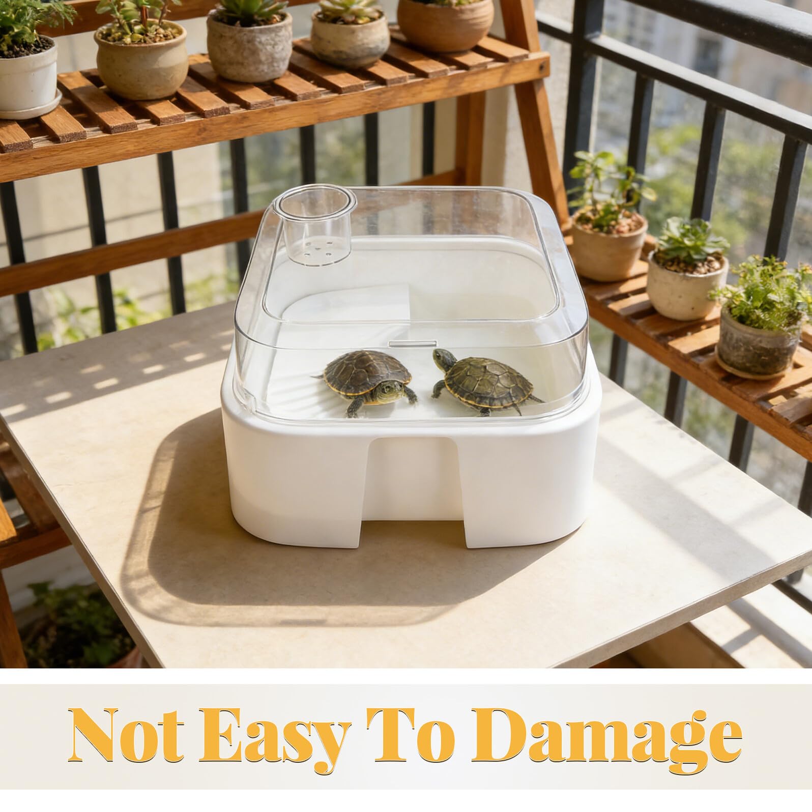 Terrarium pour Tortues en Plastique avec Couvercle Anti-évasion, Plateforme de Repos Intégrée, Petit Aquarium pour Tortues d'eau, Habitat Sécurisé et Facile à Nettoyer,