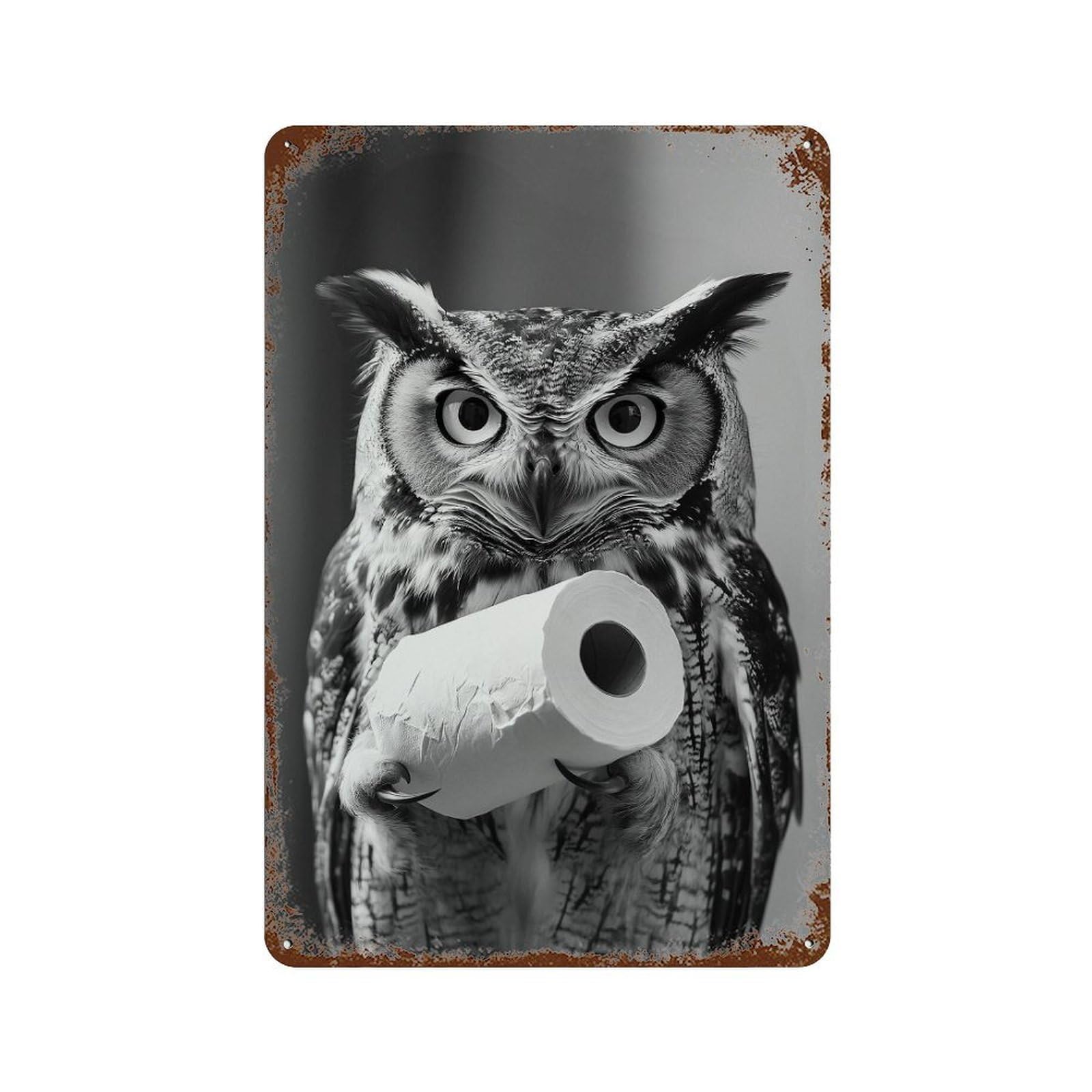 xiaoxiaoshen Owl Wall Art, Photography Prints Wall Decor Art Metal Tin Poster Modern Home Decor Art Home Bar Shop Decorations Vintage Sign 30x20cm