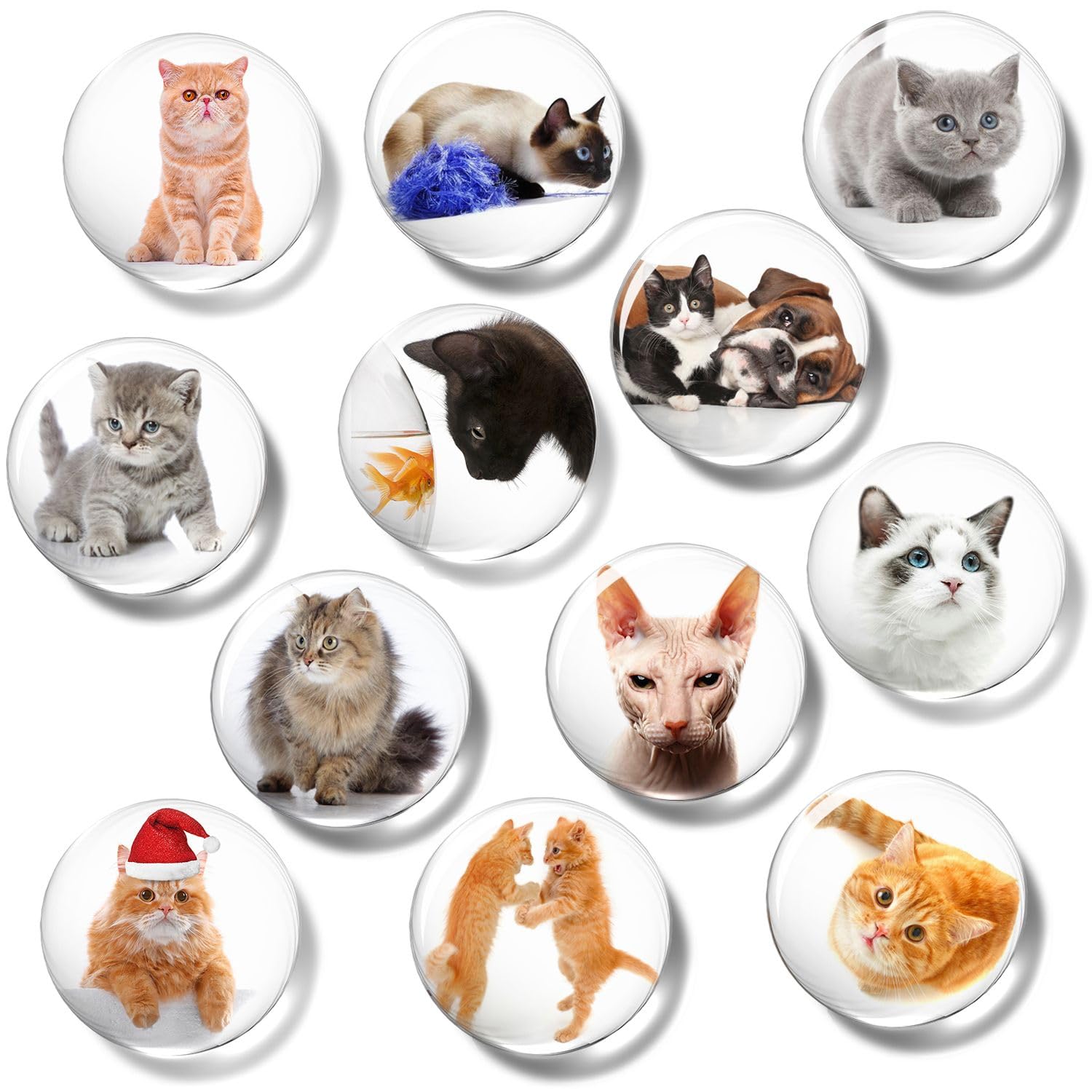 Cats Strong Fridge Magnets for Adults, Round Cute Magnets, Funny Glass Fridge Magnet for Whiteboard Kitchen White Board Office and School Notice Board