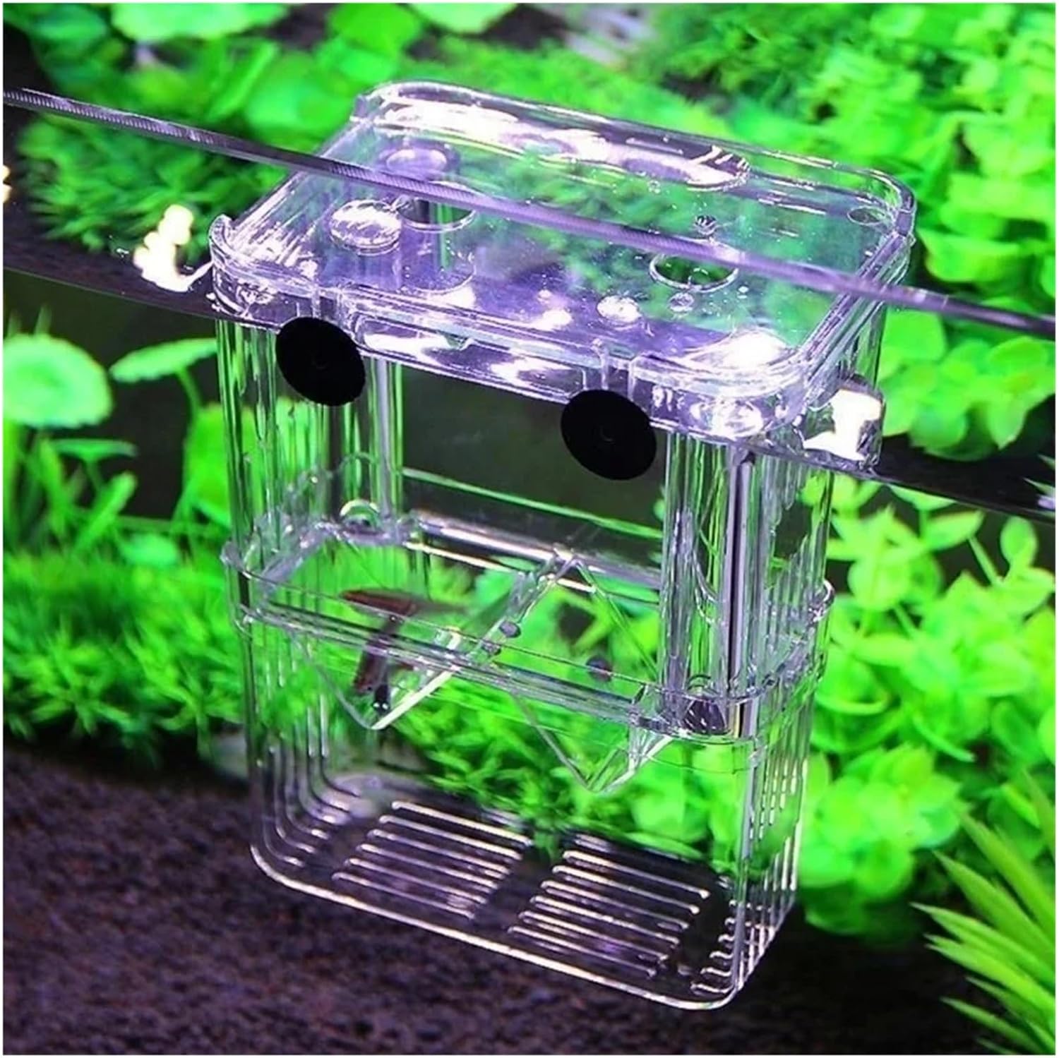 High Definition Multifunctional Fish Breeding Isolation Box - Double Guppy Hatching Incubator for Aquariums(10x13x7cm)