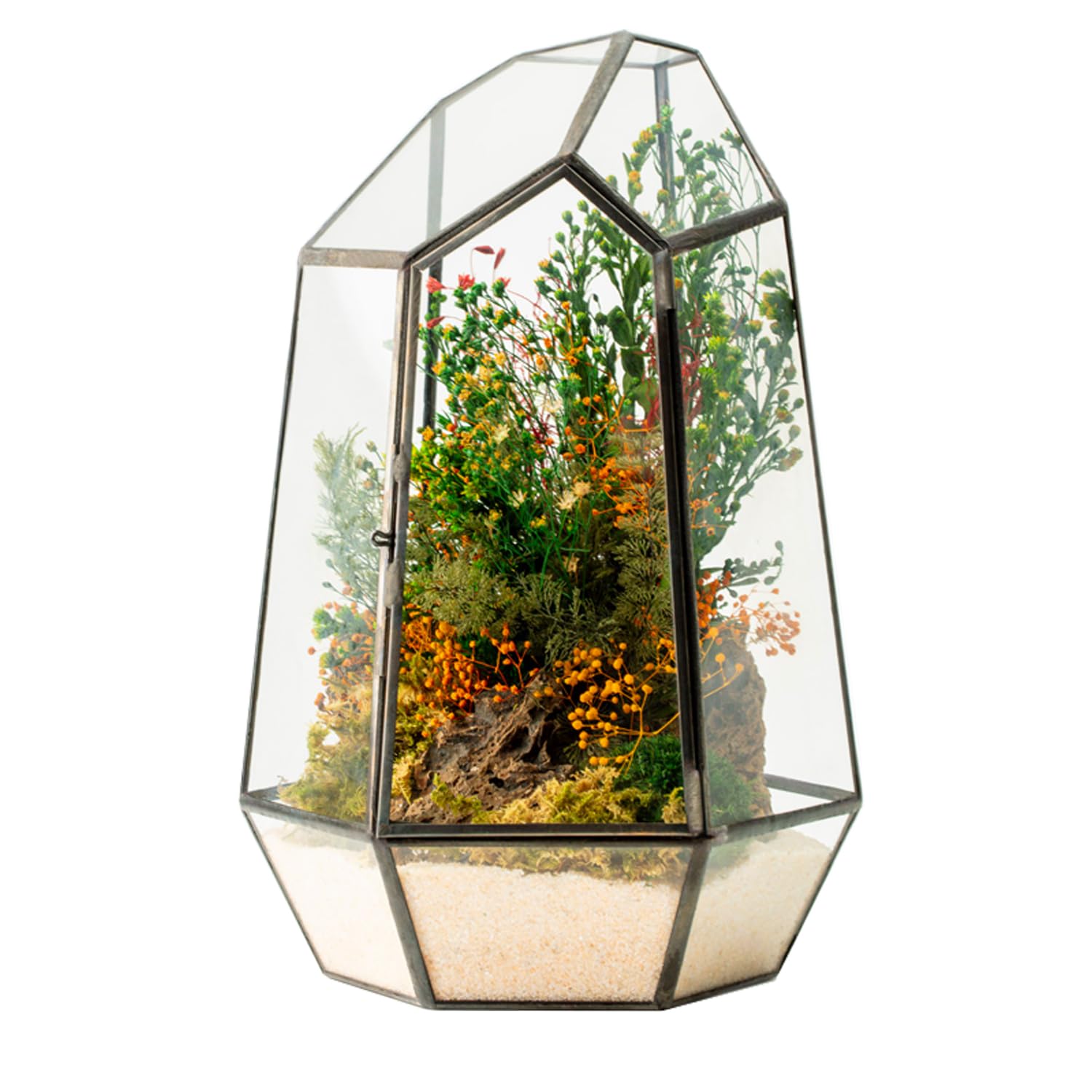 Terrario Stabilizzato Hyde in Vetro Forma Diamond, completi di Fiori e muschi Stabilizzati Arredo Naturale Elegante Senza Manutenzione per Casa, Ufficio e Idee Regalo Green