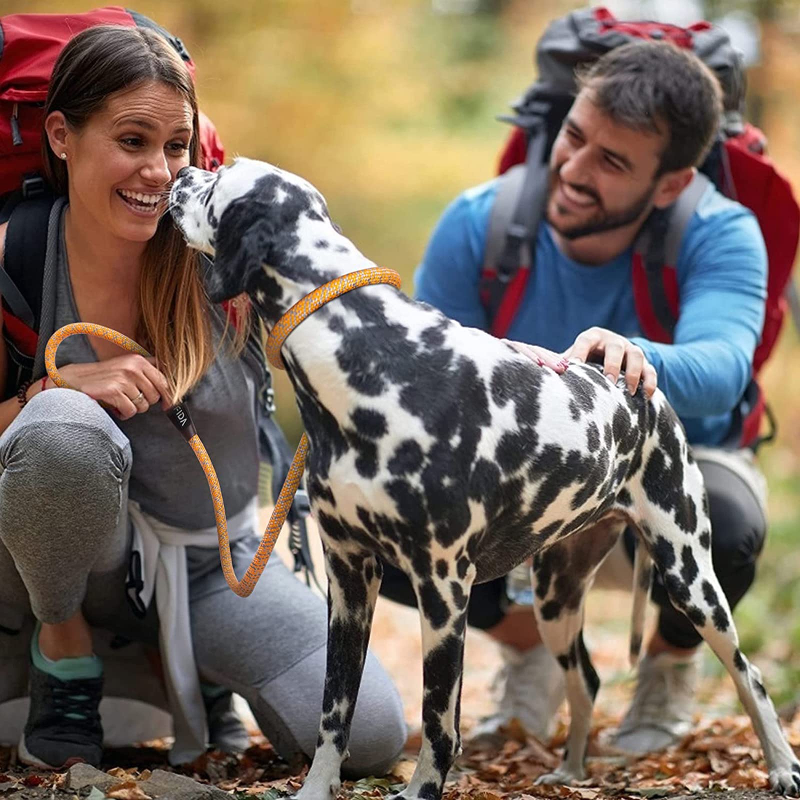 Generic Laisse Chien Corde, Laisse pour Chien en Nylon avec Poignée Rembourrée Douce et des Fils Réfléchissants pour Chiens de Moyenne