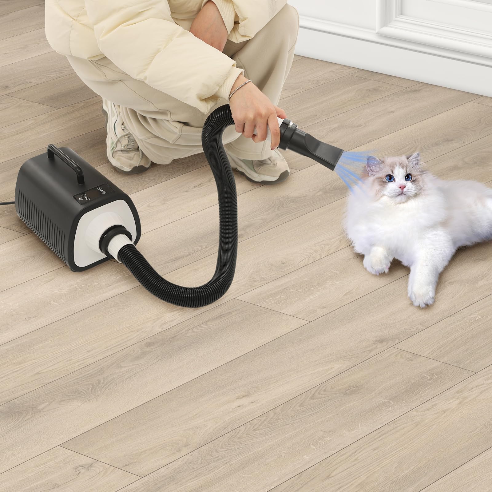 Sèche-cheveux pour animaux de compagnie 2100 W - Accessoire pour chien et chat - Avec température réglable - Vitesse réglable - Pour la maison, le salon - Facile à déplacer - Flexible
