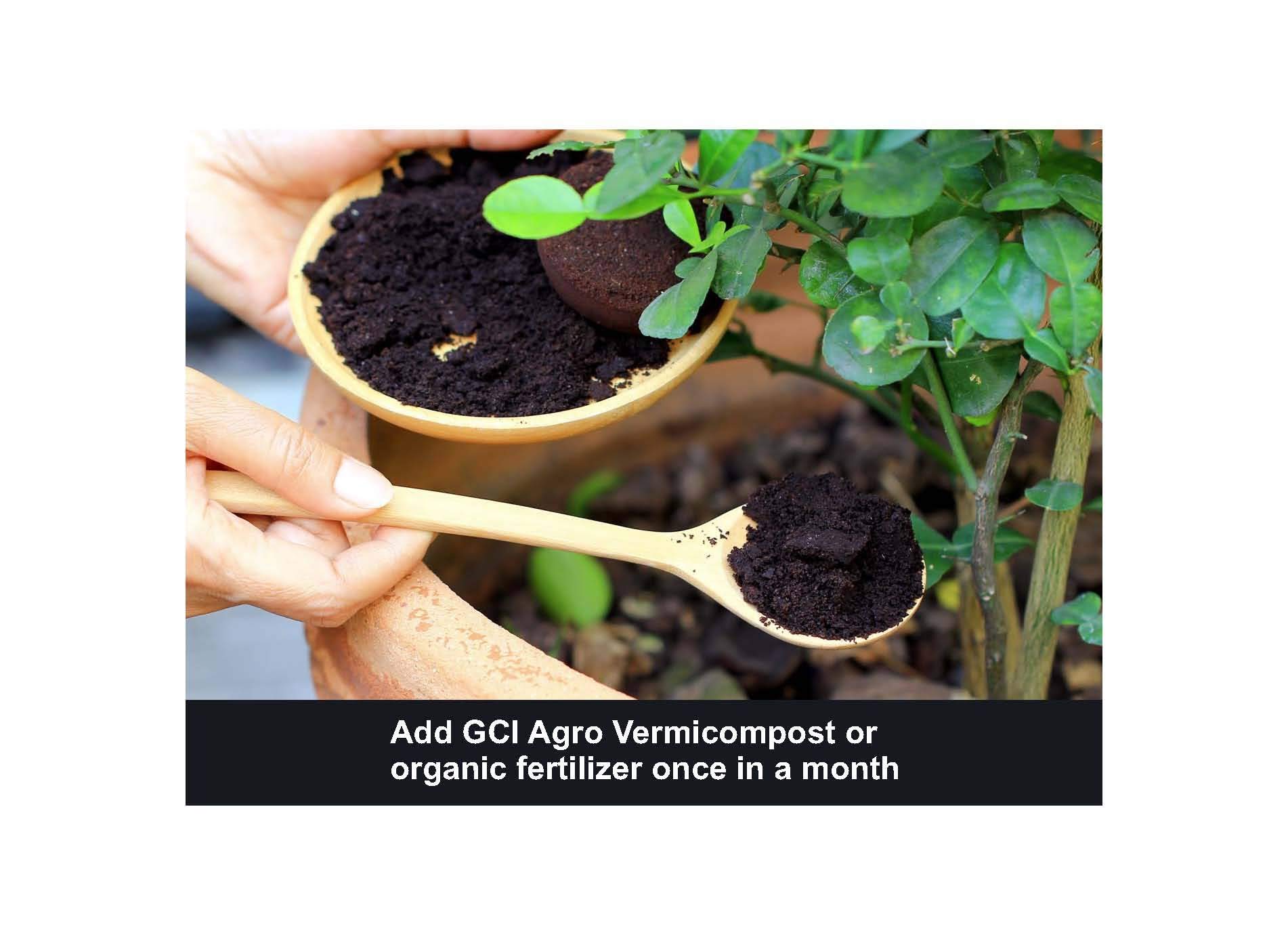 Khatarwale Organic Potting Soil Mix Fertilizer (1kg) Enriched with