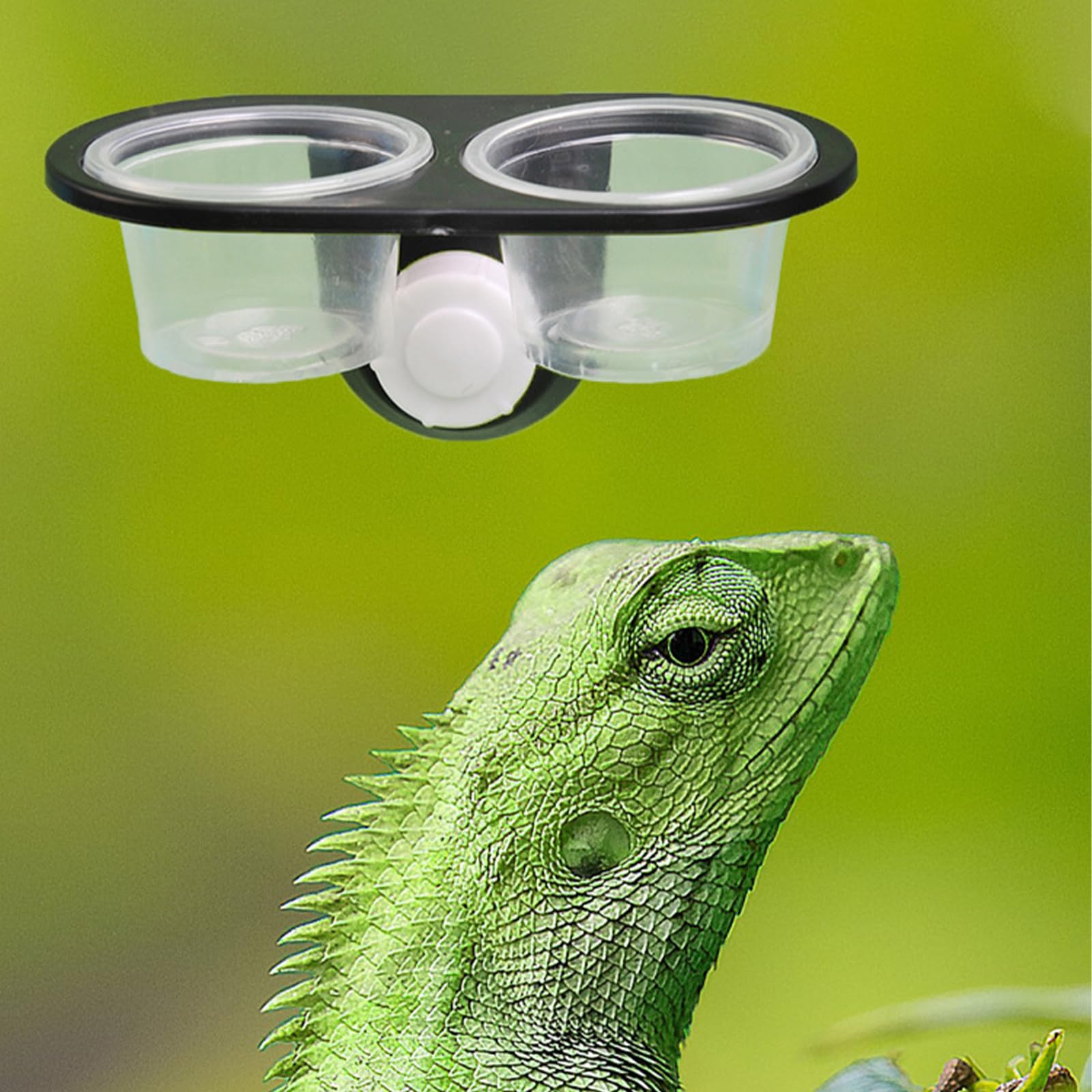 2 Pièces Bol Alimentation Gecko, Reptile Feeder Ventouse, avec 32 Tasses Interchangeables, Convient aux Petits Animaux de Compagnie comme Le Lézard, Le Gecko à Crête, Le Gecko Léopard (B)