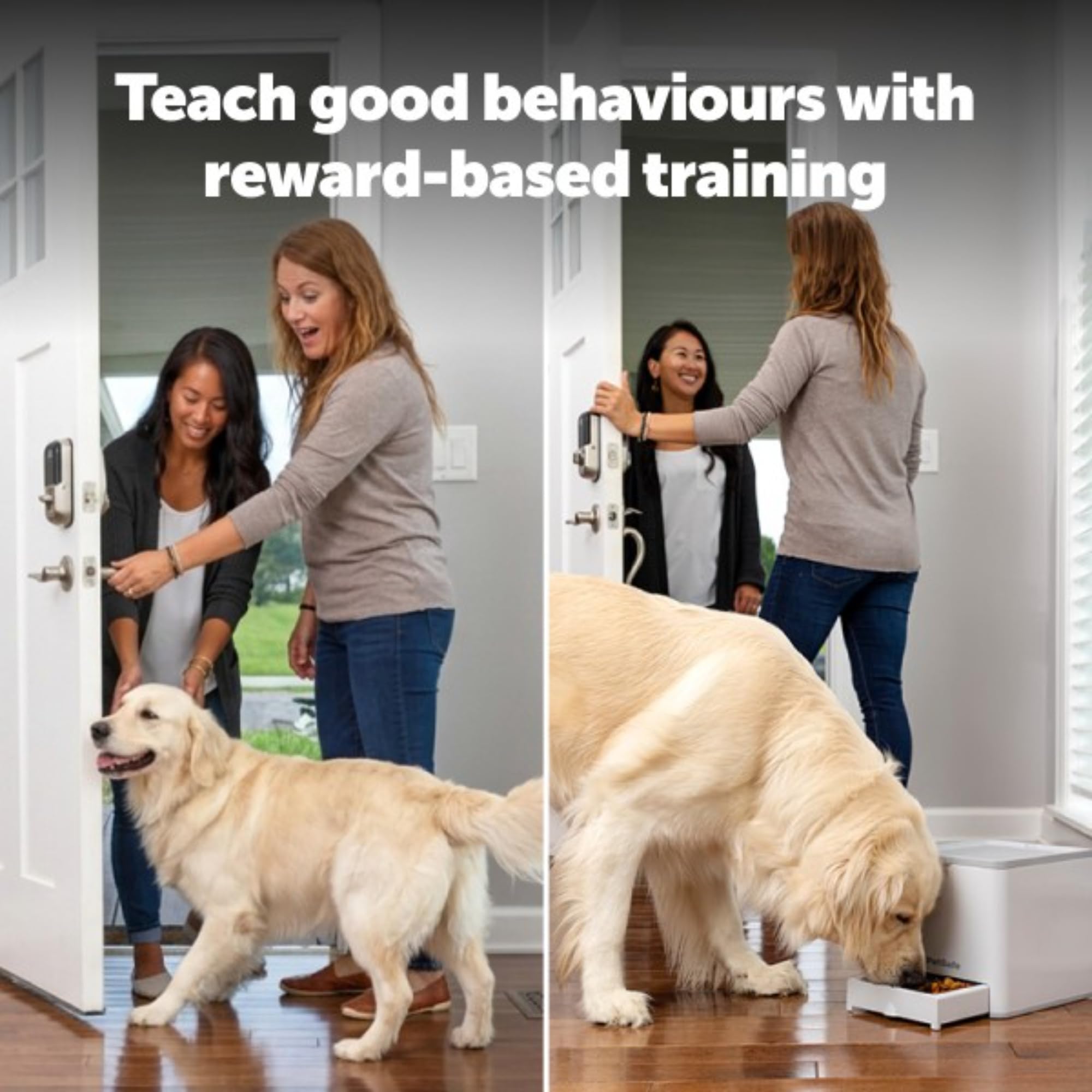 PetSafe Teach & Treat zdalny trener dla zwierzat – Automatyczny podajnik przysmaków dla psów – przenośne narzędzie treningowe