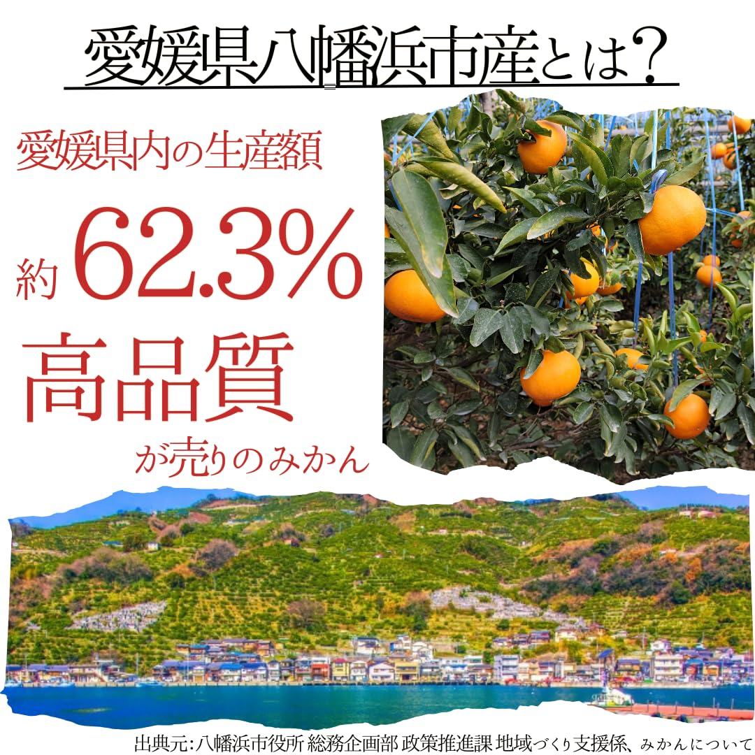 Amazon.co.jp: 【高級せとか】愛媛県産 3kg､5kg､10kg 家庭用*ｻｲｽﾞ