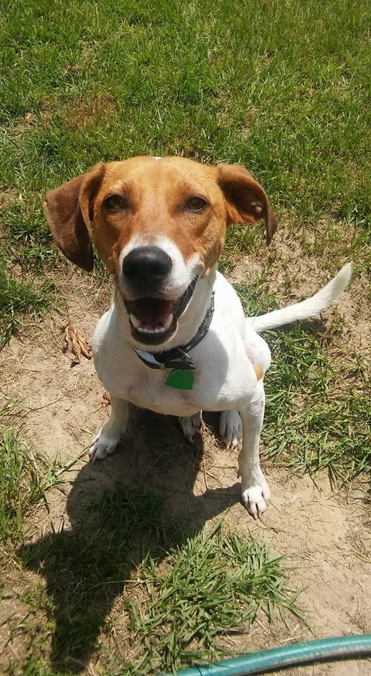 Great idea needs improvements.