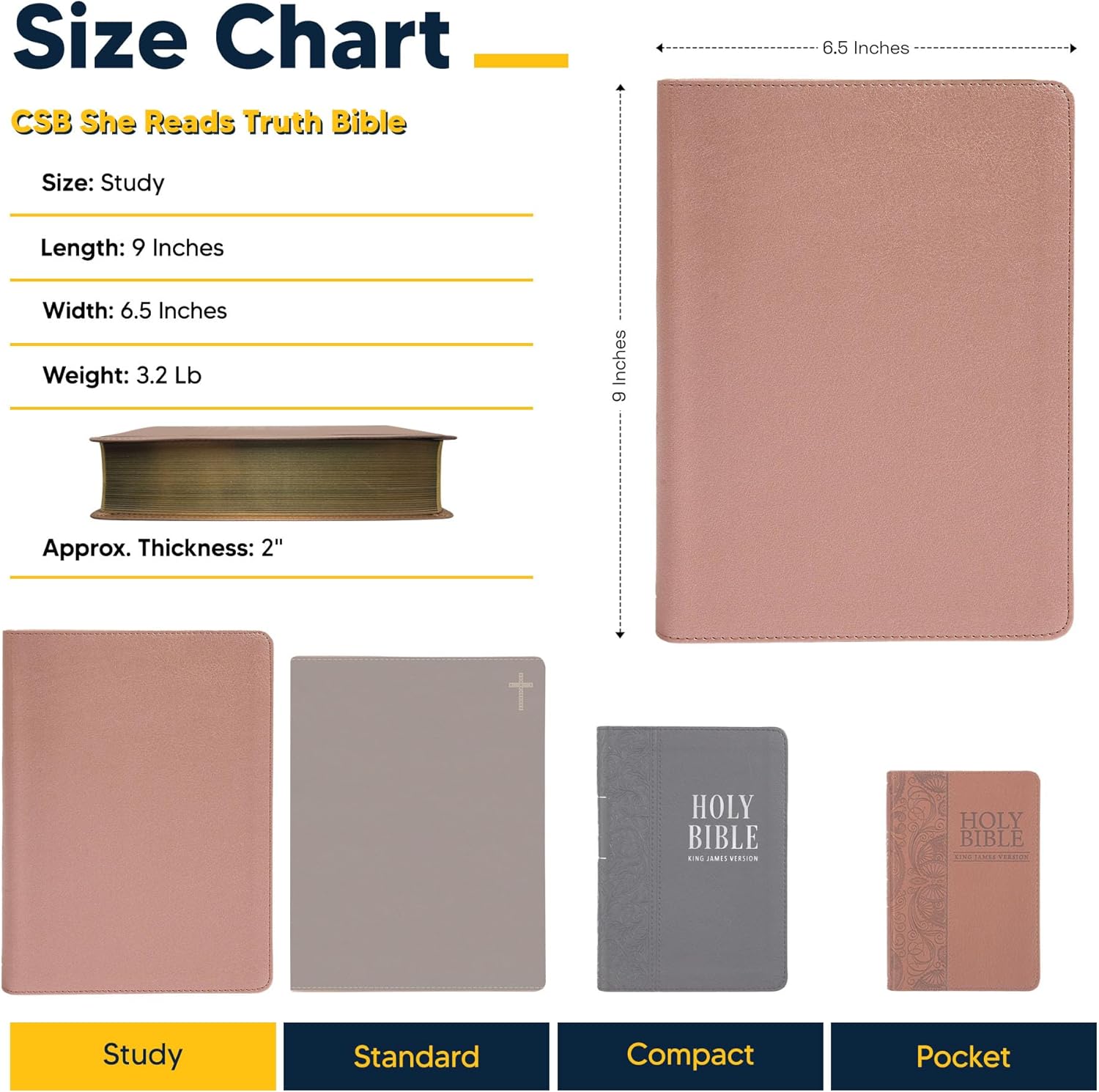 Personalized CSB She Reads Truth Community Study Bible Faux Leather Medium Print Size | Custom with Full Cover Floral Vines Design and Name | Gift for Christian & Religious Celebrations | Rose Gold