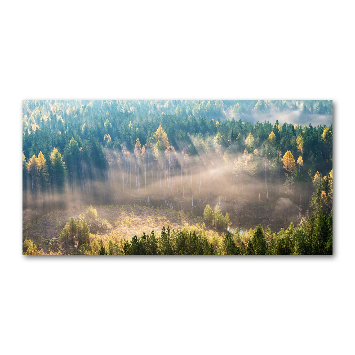 Image verre plastique 120x60cm pour salon zen et contemporain