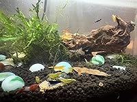 Review Image by Taylor Foulkrod Taylor Foulkrod