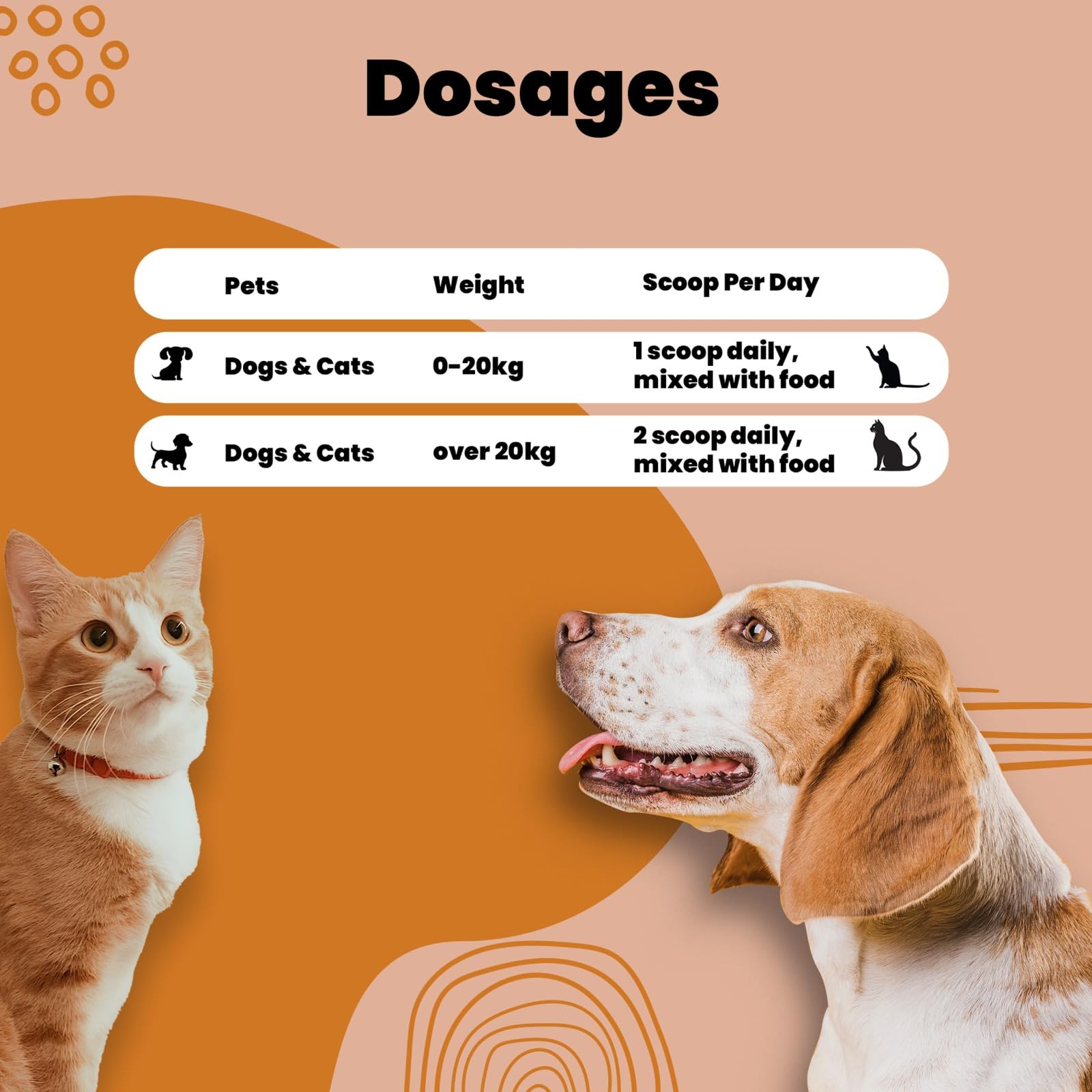 Aniamor Kidney Care Powder for Dogs and Cats|Kidney Care|Pets Supplement|All Life Stage|200gm Jar 3