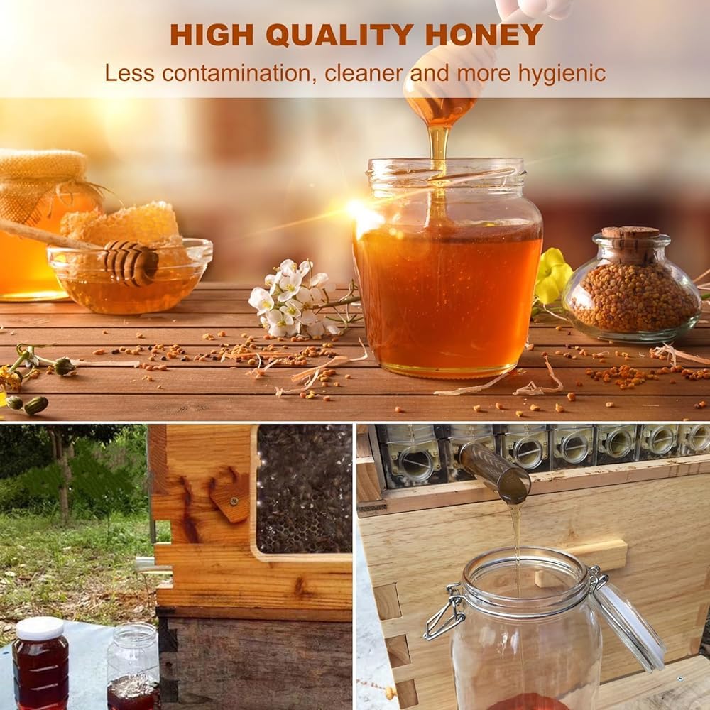 Beehive - Kit de colmena automático de madera con 7 panales y marco de calidad alimentaria sin BPA para principiantes y apicultores profesionales
