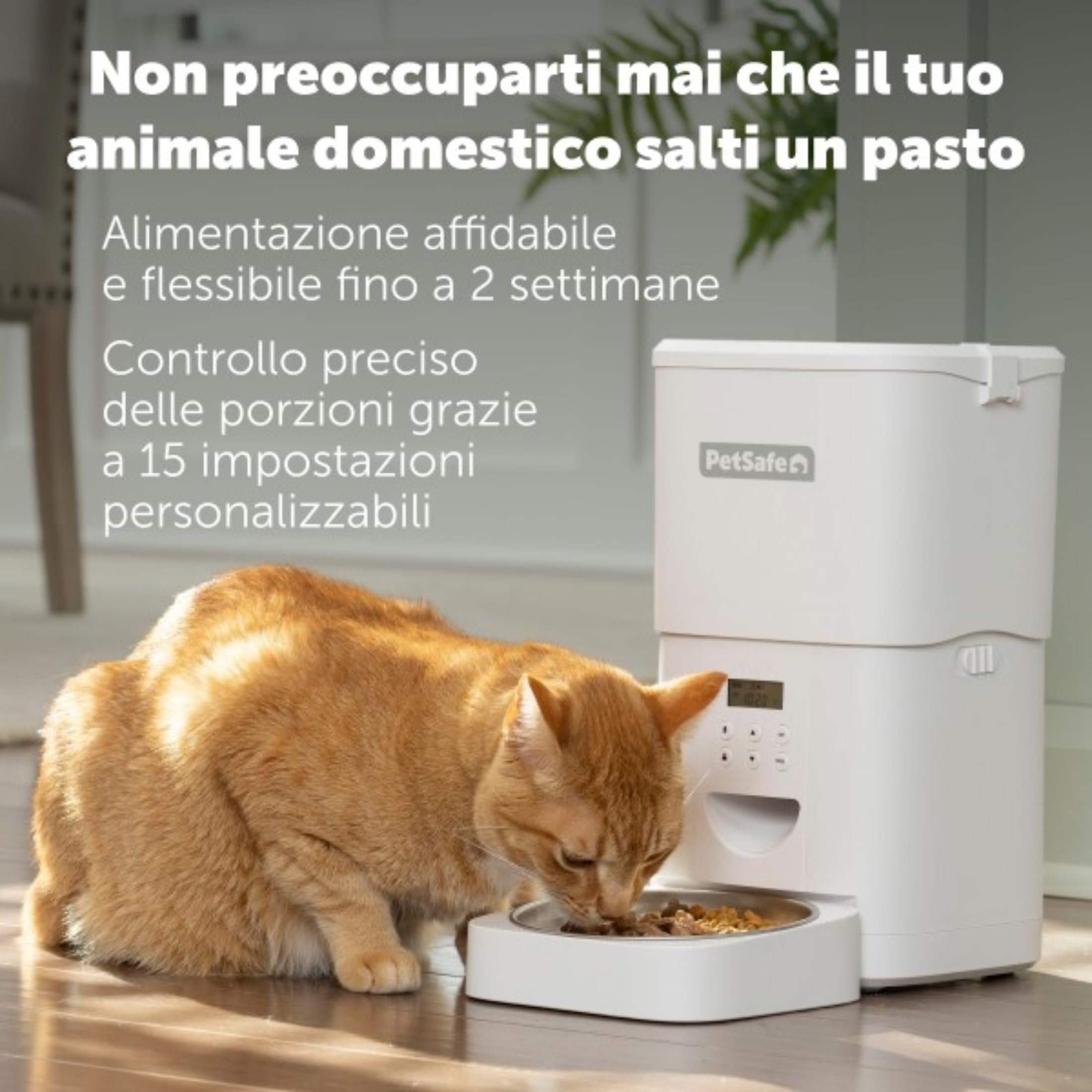 PetSafe FlexFeed 2L – Distributore automatico di cibo per cani e gatti con timer e controllo porzioni