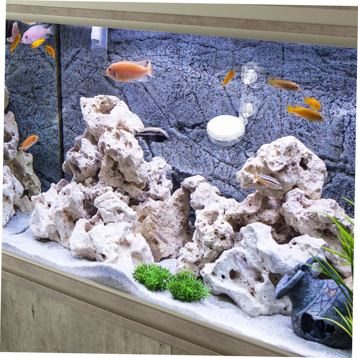 minkissy 5 Juegos disco de aire del tanque de peces difusor de aire para acuario accesorios para de aire de acuario pecera piedra de aire de nano burbuja equipo Acrílico