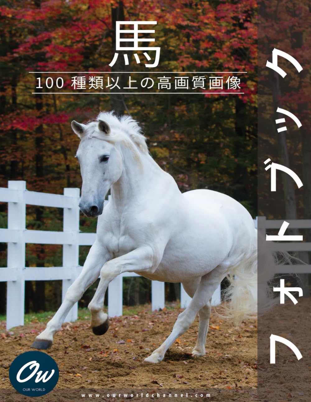 洋書◆馬の写真集 本 キングダム 乗馬 洋書◇馬の写真集 本 キングダム 乗馬 | 洋書堂