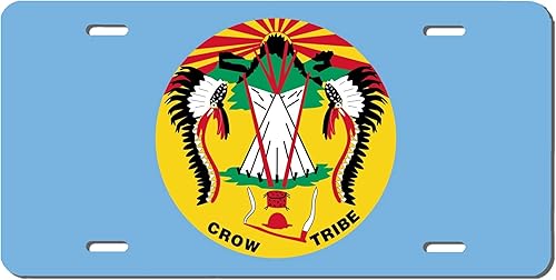 Miniatura 10 de Placa de matrícula de automóvil con bandera tribal nativa americana de tamaño completo (6 x 12)