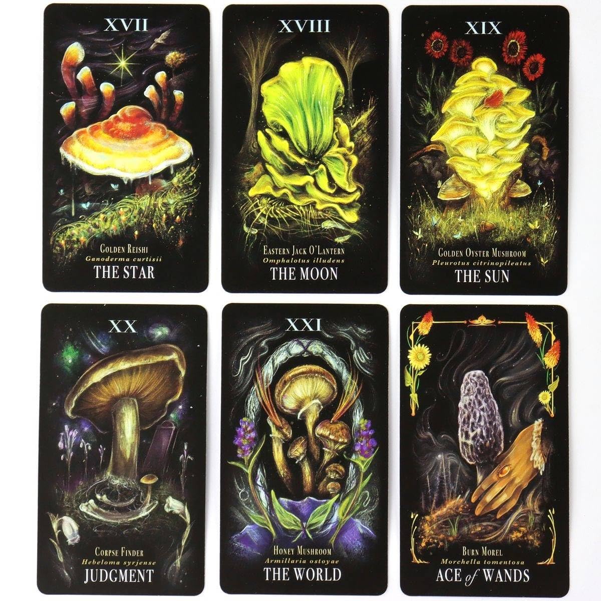 Amazon | ミッドナイト マジック タロット キノコ カードのタロット