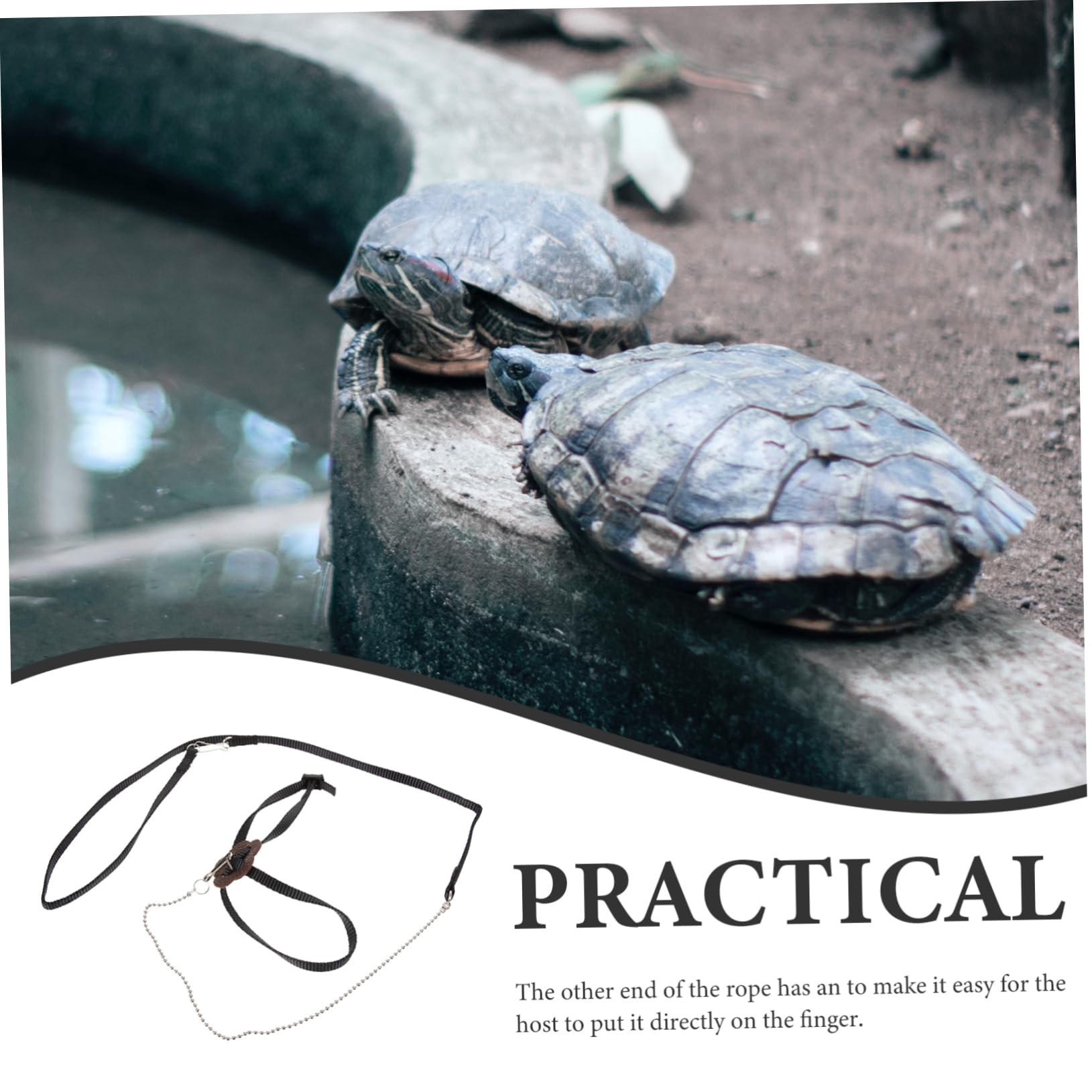 COLLBATH Reptile Leash Turtle Training Lead Black Harness Pet Carrier Harness for