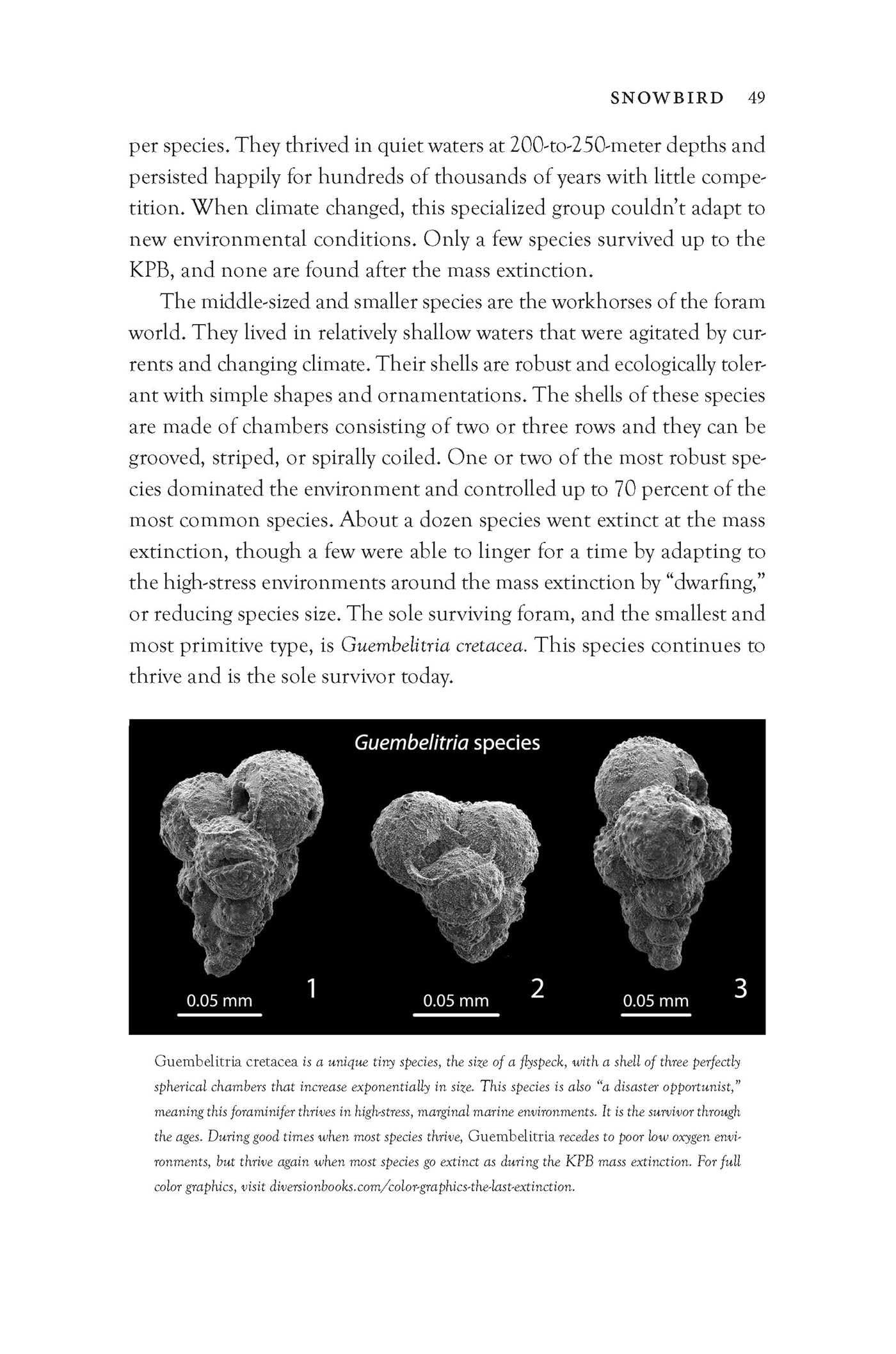The Last Extinction: The Real Science Behind the Death of the Dinosaurs