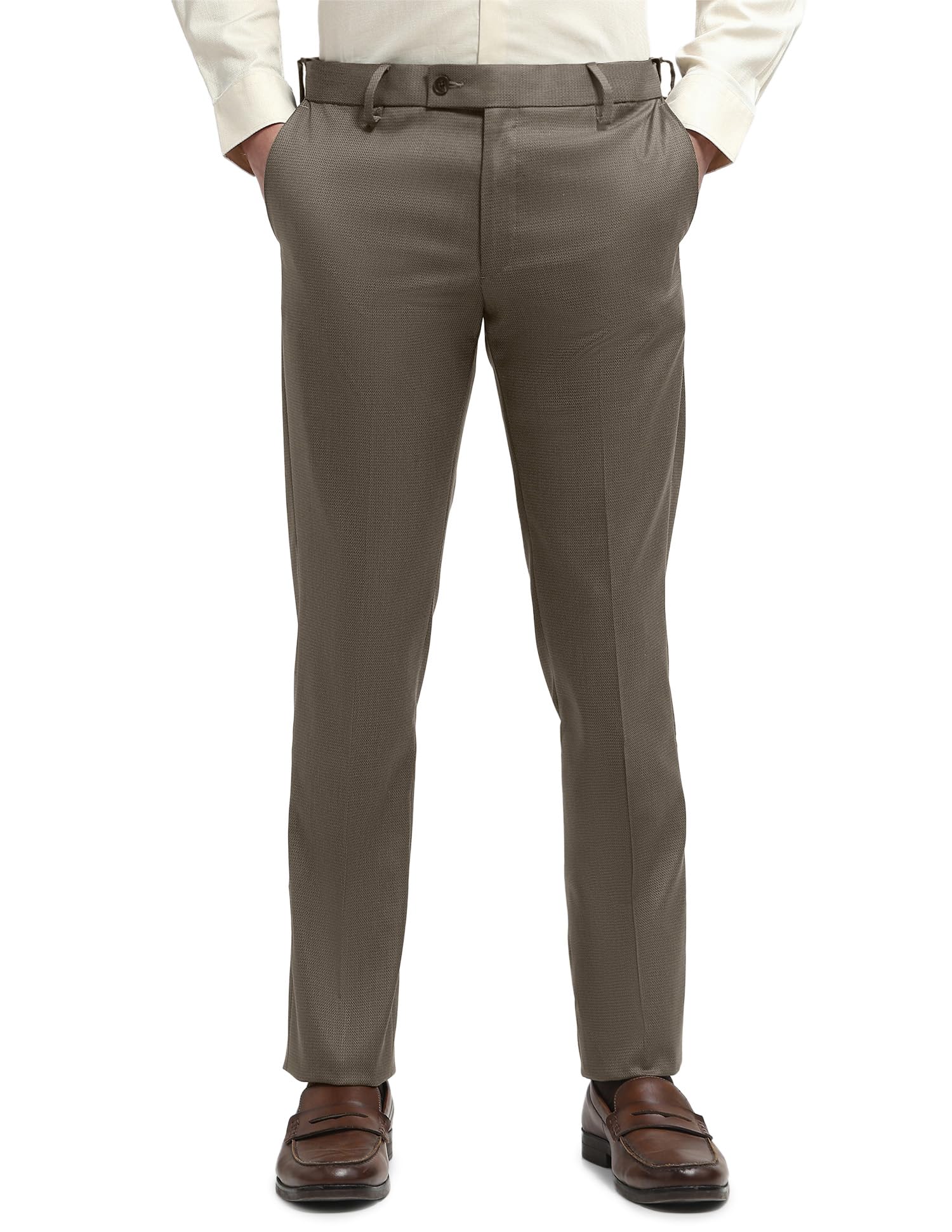 arrow Men's Hudson Regular Fit Dobby Trousers-picture-18