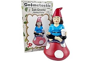 Zenfully Relaxed: Lady Zen Gnome