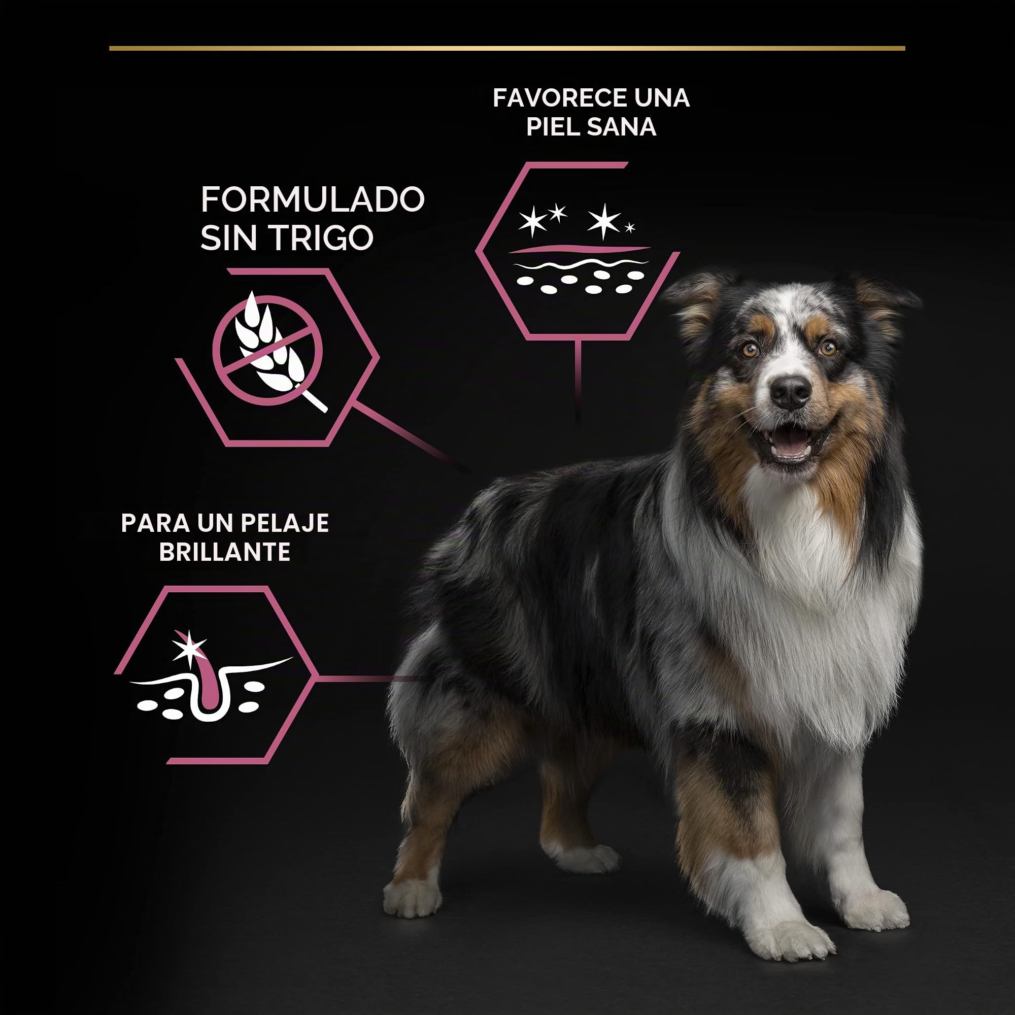 Pro Plan - Medium Adult Sensitive Skin con Optiderma, Rico en salmón – 7 kg – Pienso para Perros Adultos de tamaño Mediano