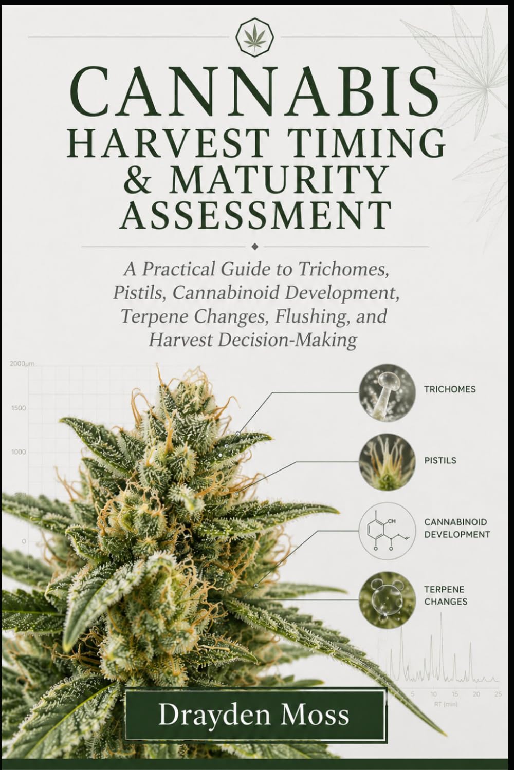 Cannabis Harvest Timing & Maturity Assessment: A Practical Guide to Trichomes, Pistils, Cannabinoid Development, Terpene Changes, Flushing, and Harvest Decision-Making