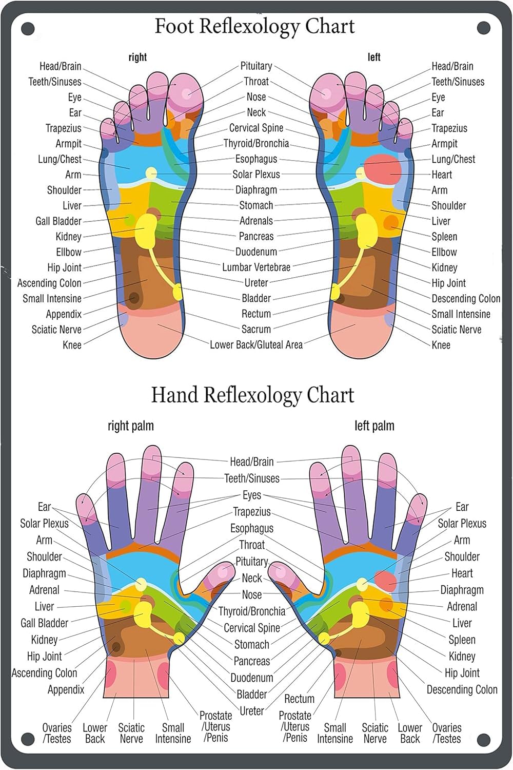Scvgfdxzs Tin-04 Hand Foot Reflexology Chart Metal Tin Sign Poster Wall Art Decor Plaque For Home Bedroom Yoga Studio 12X16 Inch