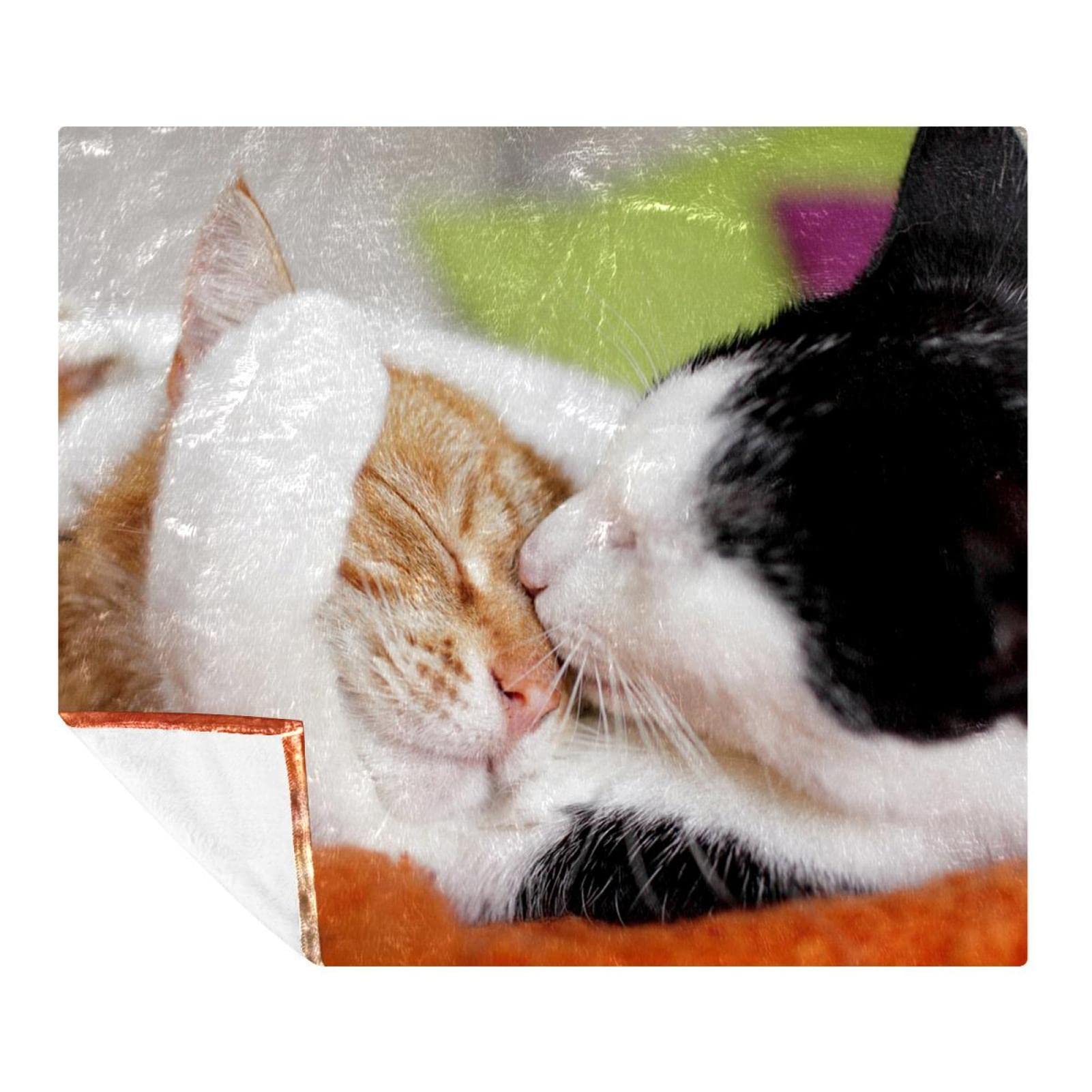 Couvertures chaudes et douces chat TBOUOBT contre le froid hivernal