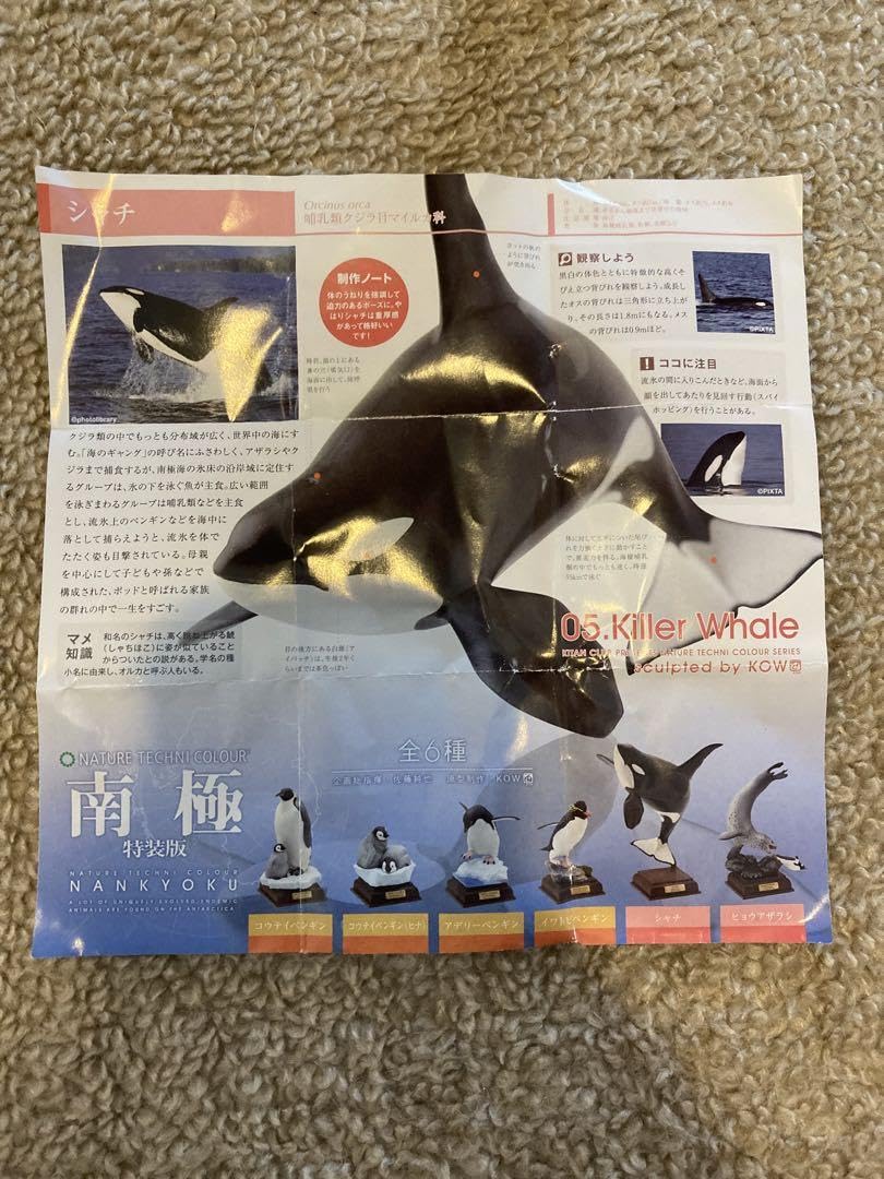 Amazon.co.jp: ネイチャーテクニカラー 南極 特装版 シャチ ガチャ