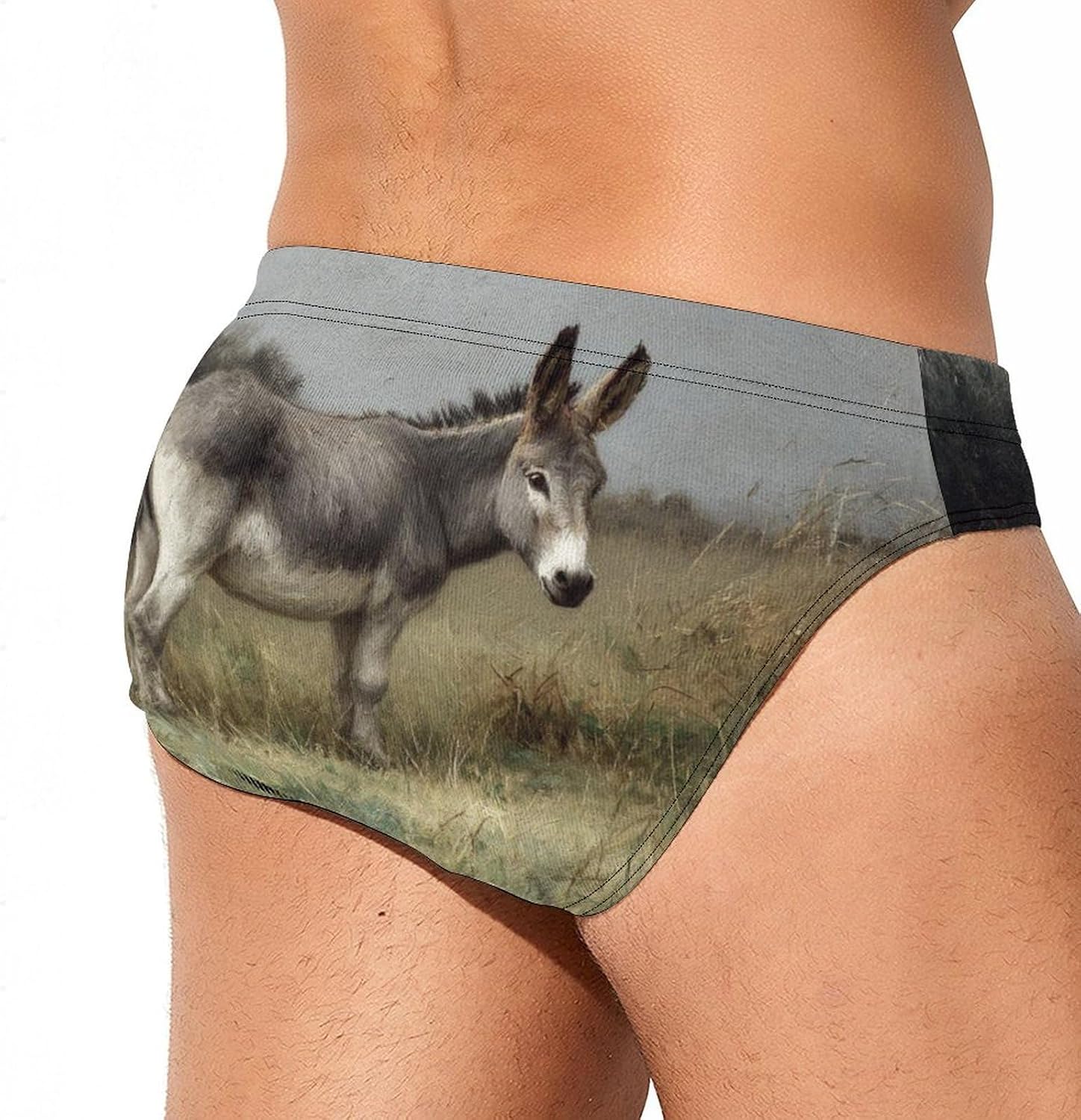 Vintage Donkey Grass Men's Swimwear Bikini Swimming Briefs Stretchy Swimsuits Board Surf Shorts Trunks