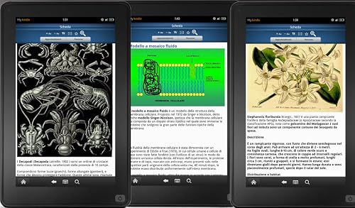 Encyclopedia of Biology – vue 3