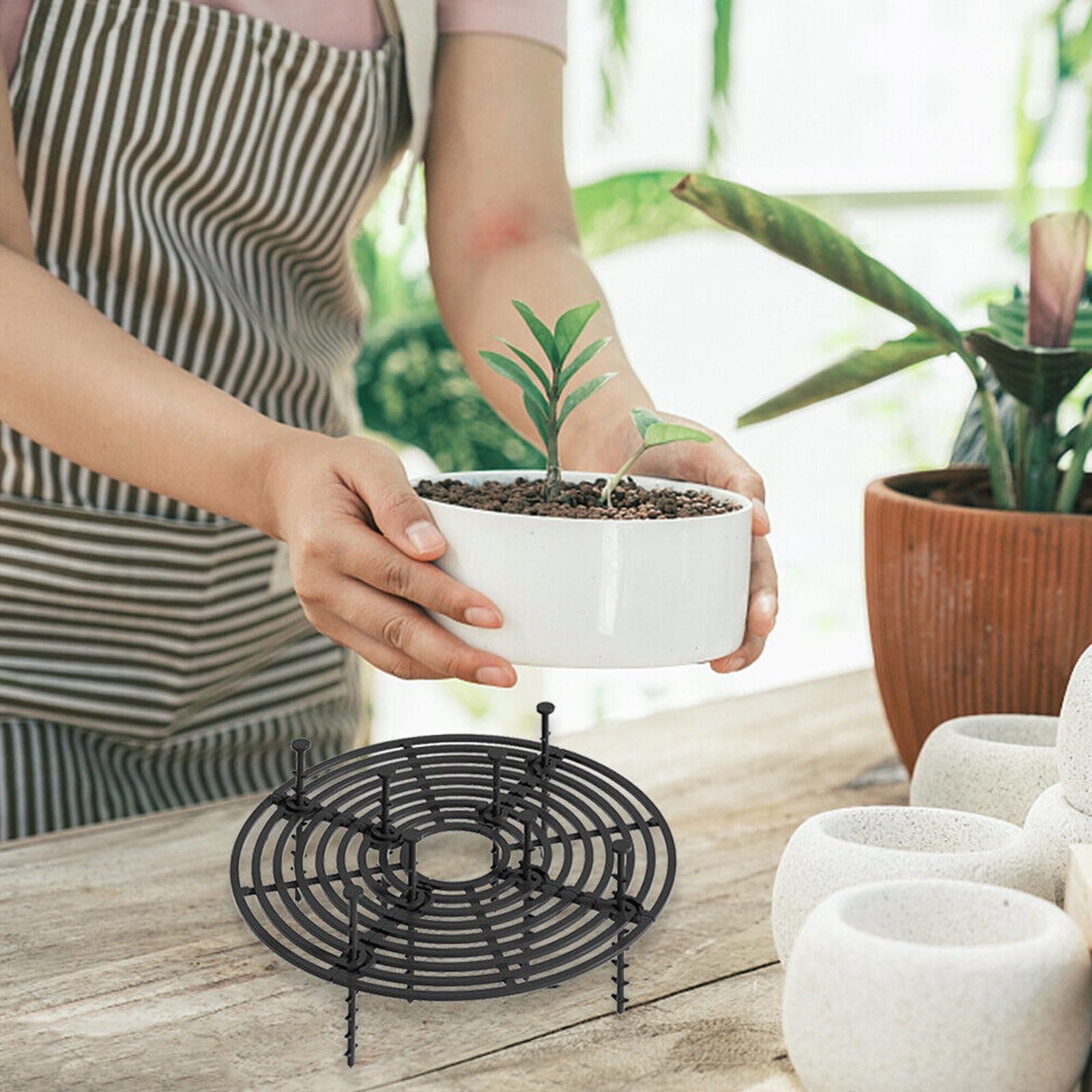 Lot de 6 grilles de protection rondes pour plantes (30 cm, protection pour pots pour chats, pour enfants et animaux de compagnie, couleur noir et marron)