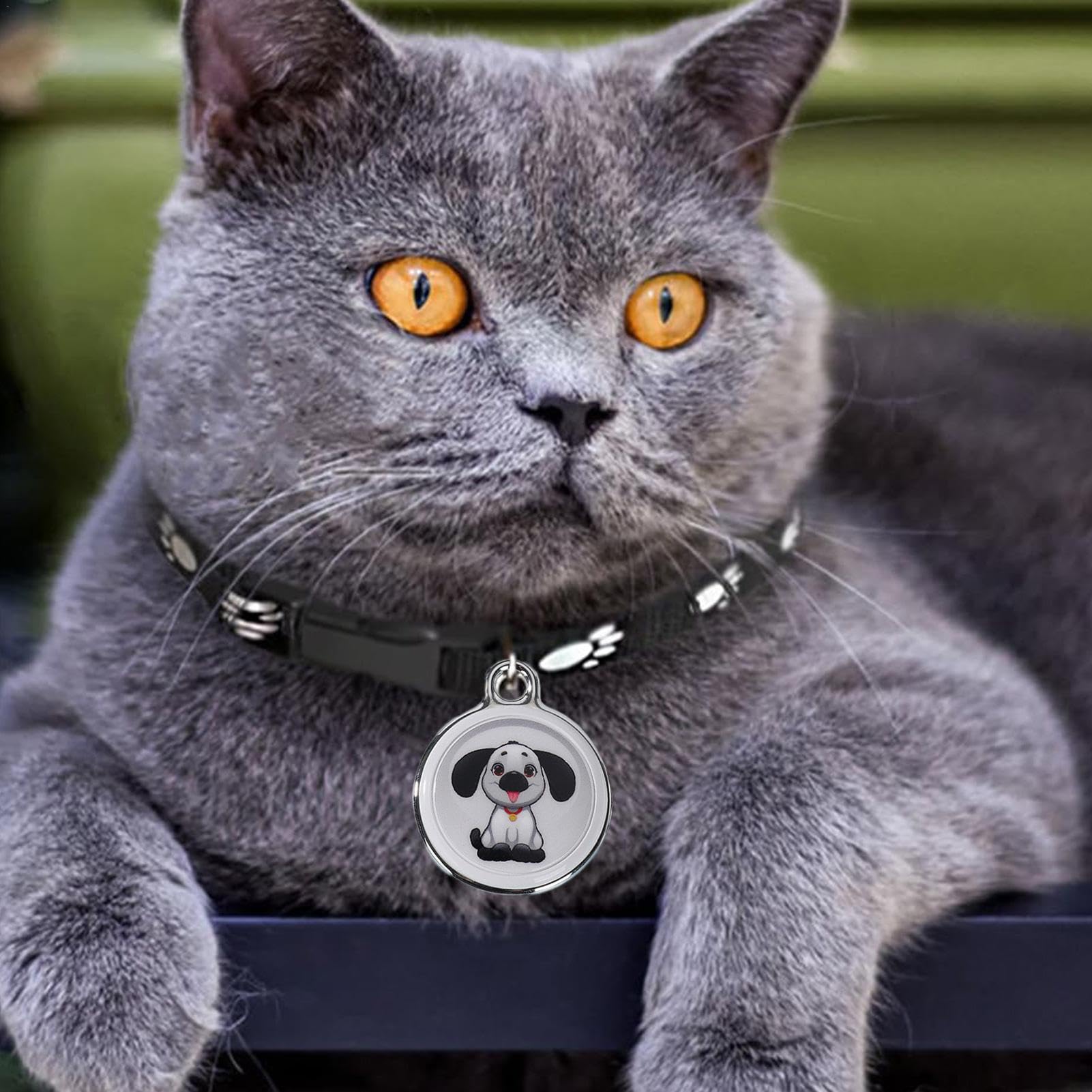 GPS-kattenhalsband, GPS-tracker voor katten, zonder maandelijks abonnement, geen sim, real-time locatie, intelligent alarm tegen verlies, compatibel met Apple/Android Find My(Black a, iOS Android