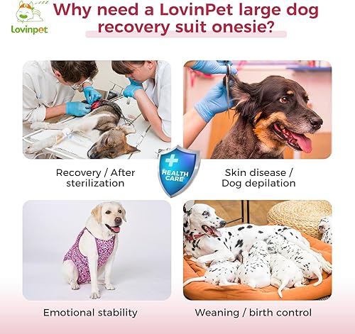 Miniatura 9 de LovinPet Camisa de recuperación  Recupera cómodamente bien protección para mascotas, traje de desprendimiento para mascotas, pijama para mascotas,