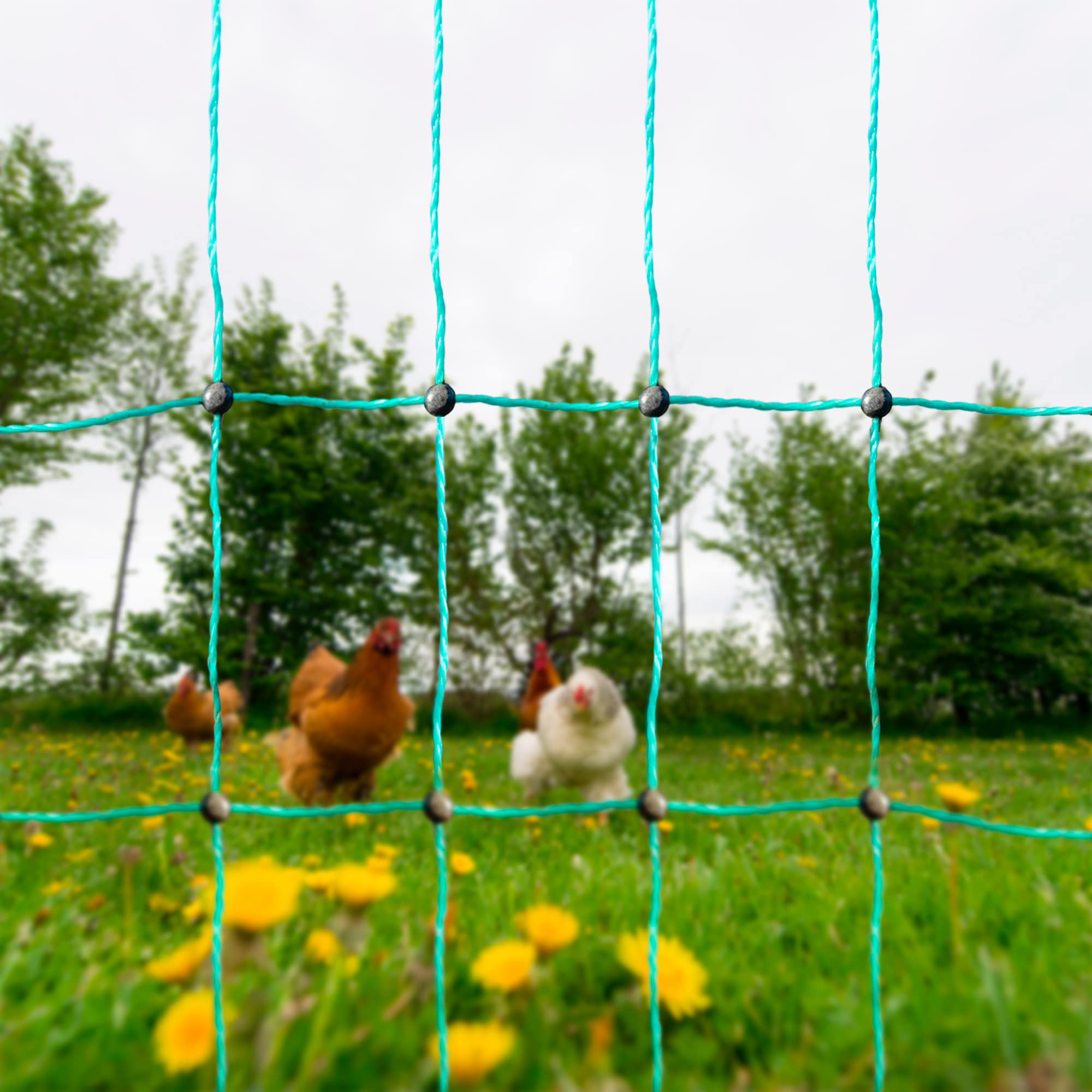 FINCA CASAREJO Malla para Gallinas y Otras Aves de Corral. Cercado de 25m de Longitud, 112cm de Altura y 9 Postes