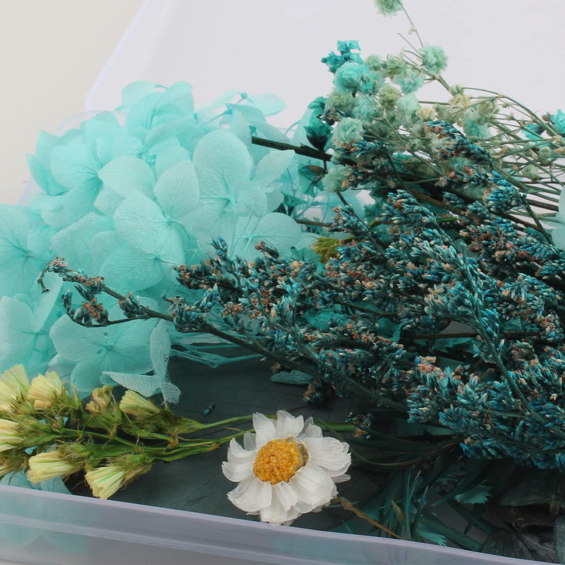 Cloche En Verre Avec Fleurs Séchées & Fleurs Préservées Pour Décoration