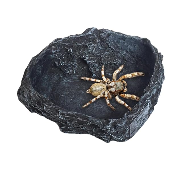 delr Cuenco de agua para reptiles, cuenco de resina para crawler, comedero para reptiles, cuenco para rocas