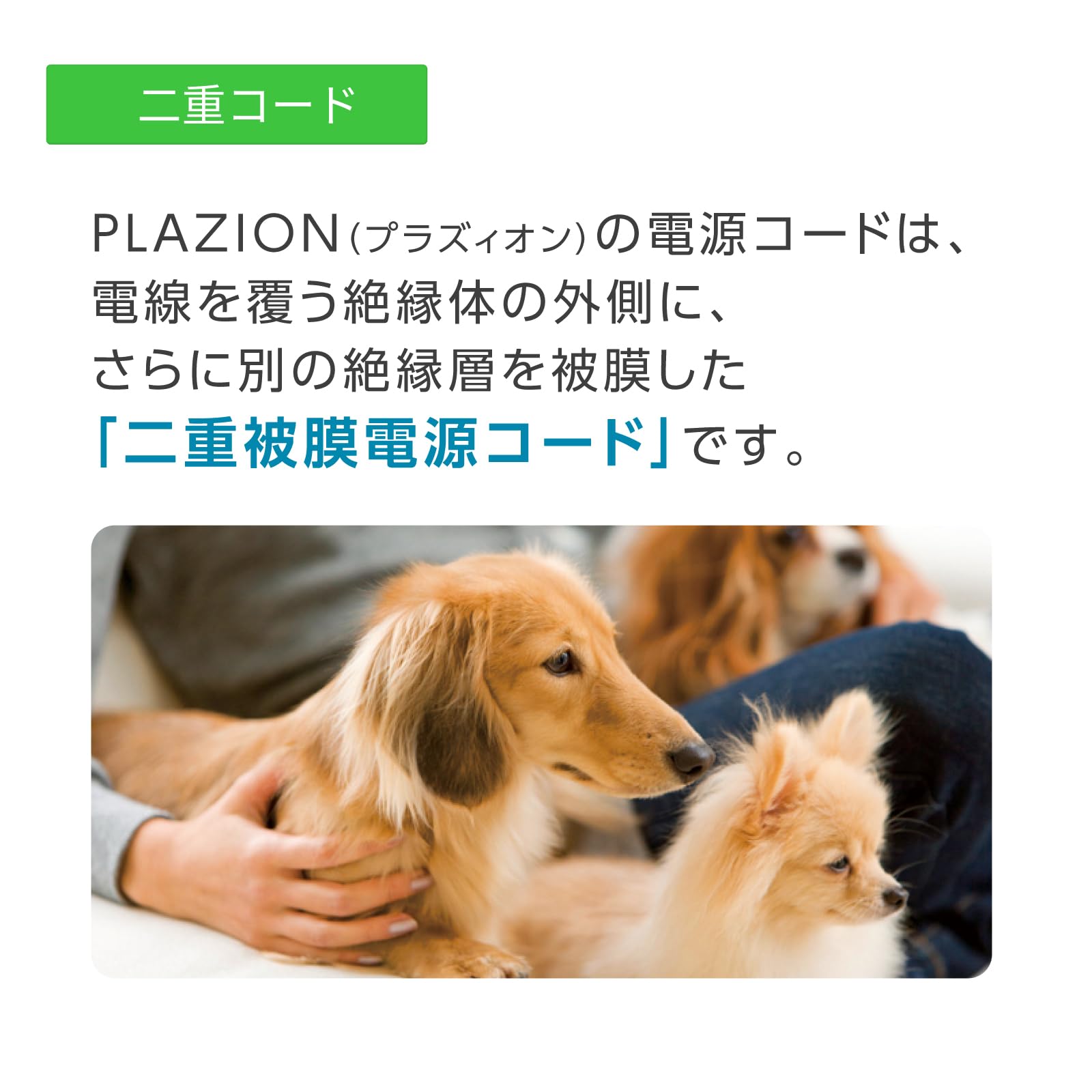 Amazon | PLAZION（プラズィオン）集じん機能付 脱臭機 HDS-302R