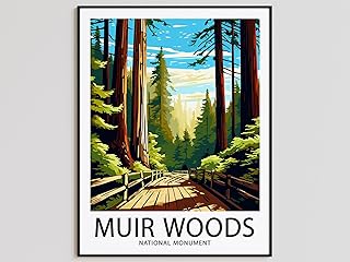 Muir Woods Travel Poster Muir Woods Print National Monument Art Print Muir Woods Muir Woods Wall Art Muir Woods Artwork #991