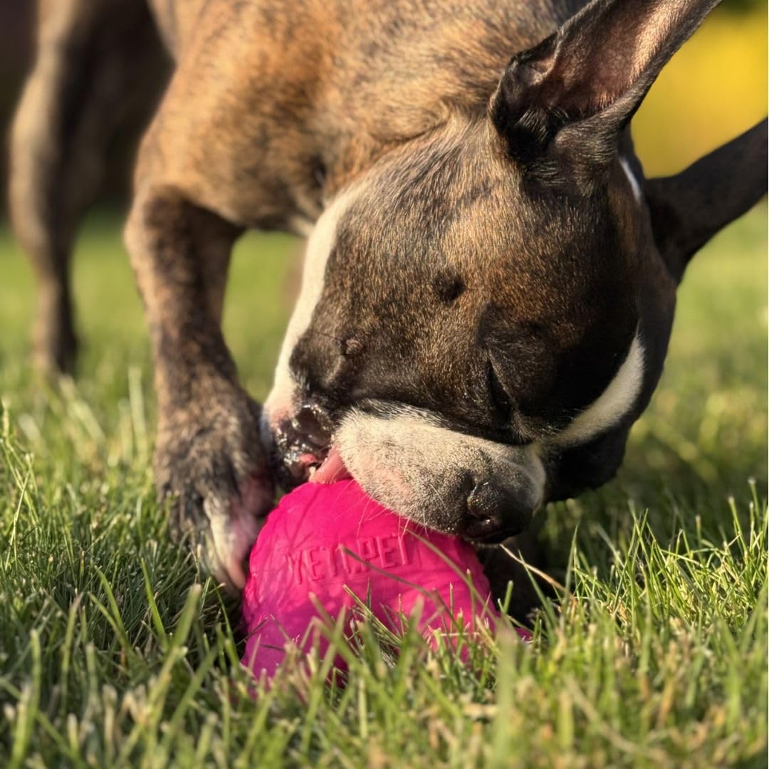 Yeti Puff and Play – Jouet interactif pour chien – Distributeur de friandises – Jouet à mâcher stimulant amusant pour la dentition, l'entraînement comportemental, apaisant l'anxiété, pour les mâcheurs