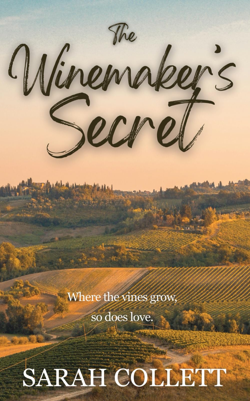 The Winemaker's Secret: A heart-stealing romance of second-chances, set in the rolling hills of England’s wine country.